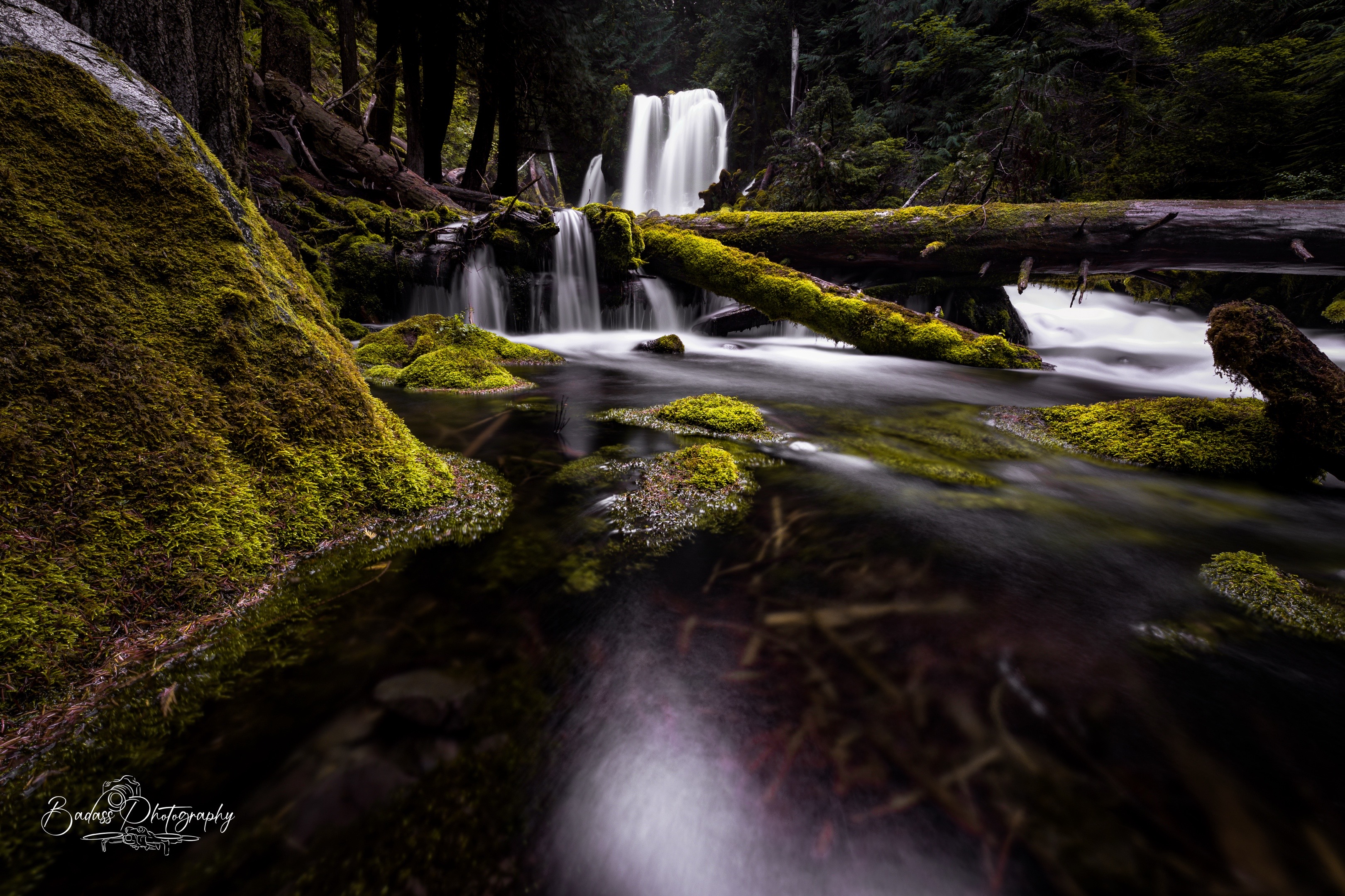 @Badassphotography_PNW