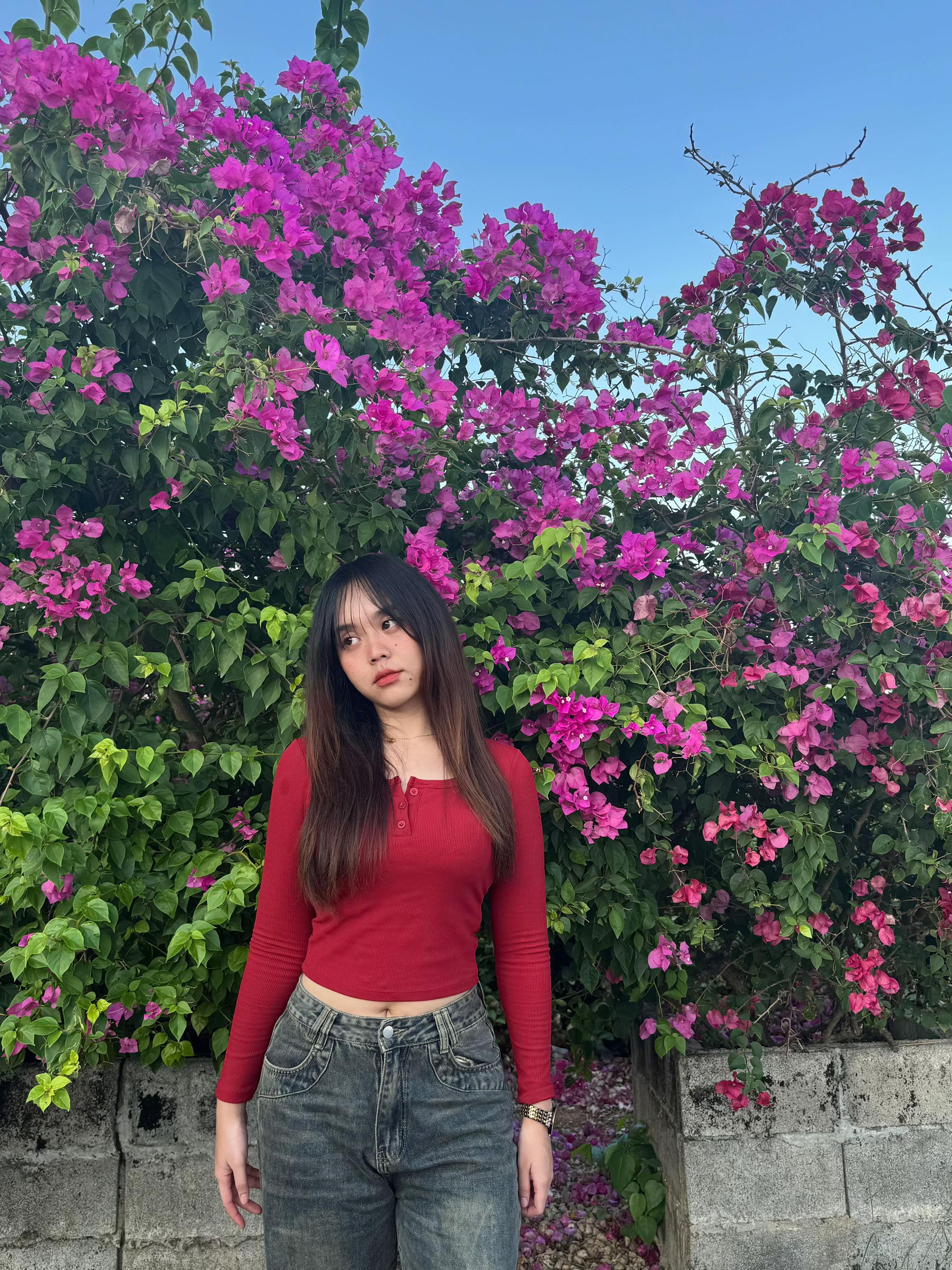 @Y 🎀