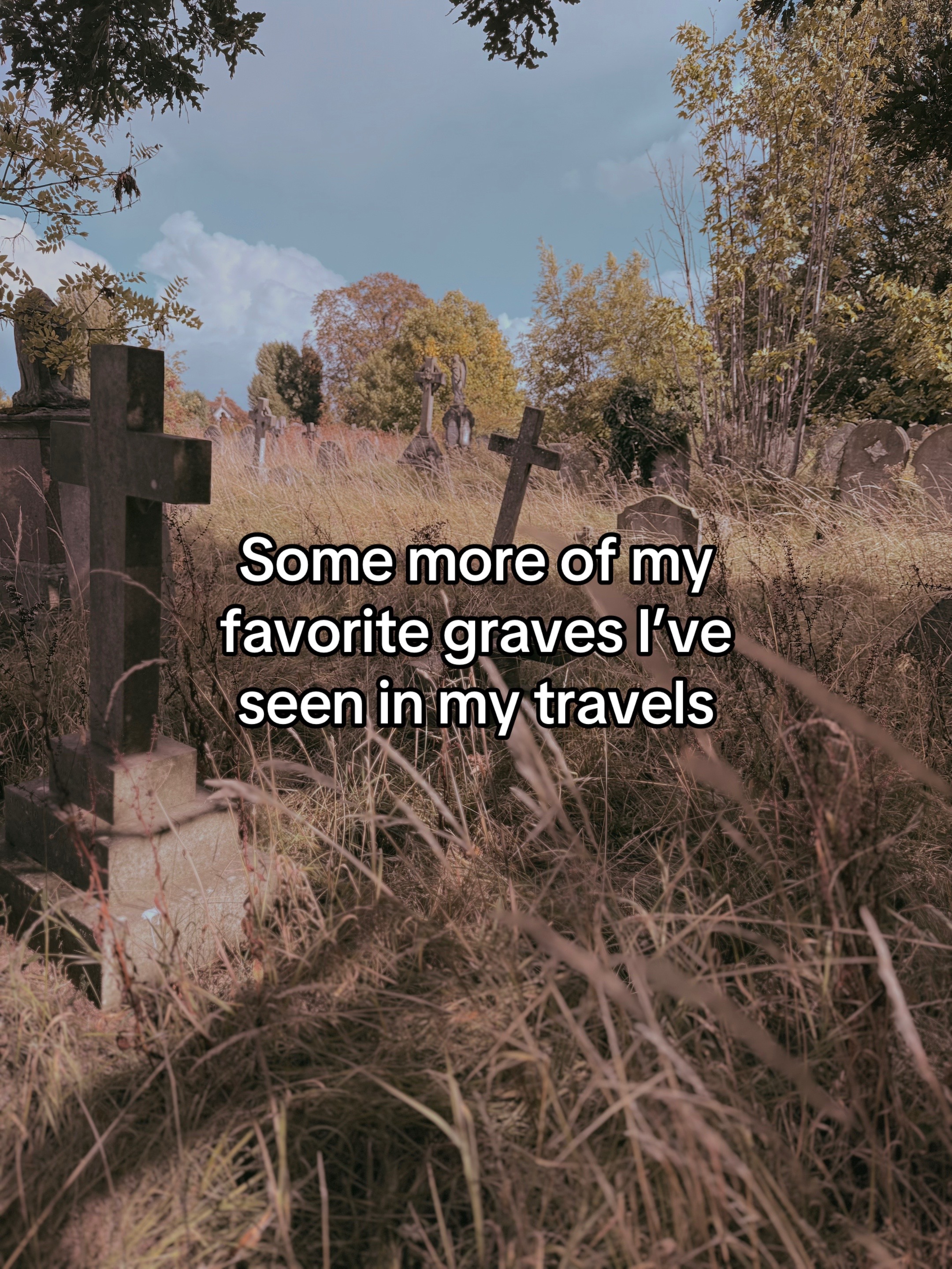 @The Ghoul Guide