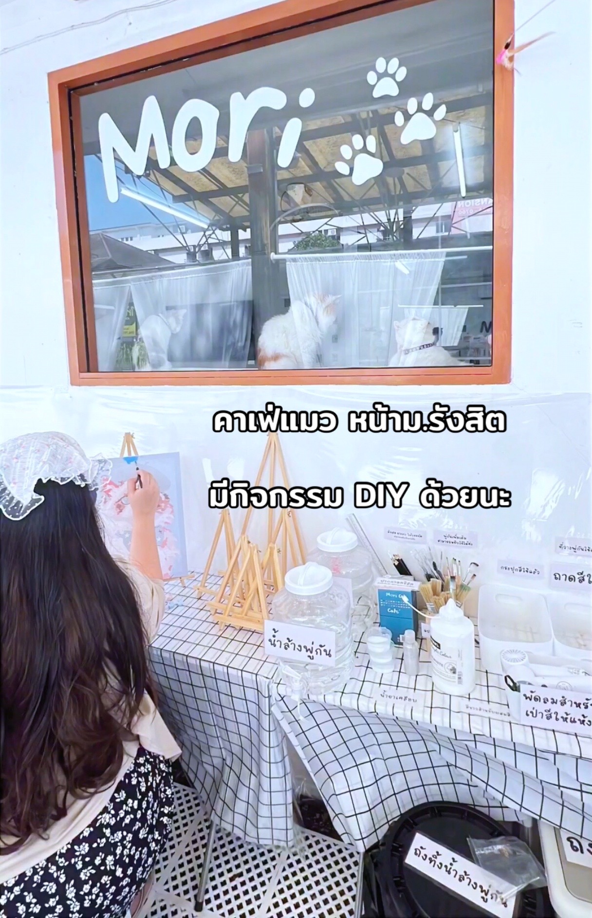 @คาเฟ่แมวโมริ Mori cat cafe'