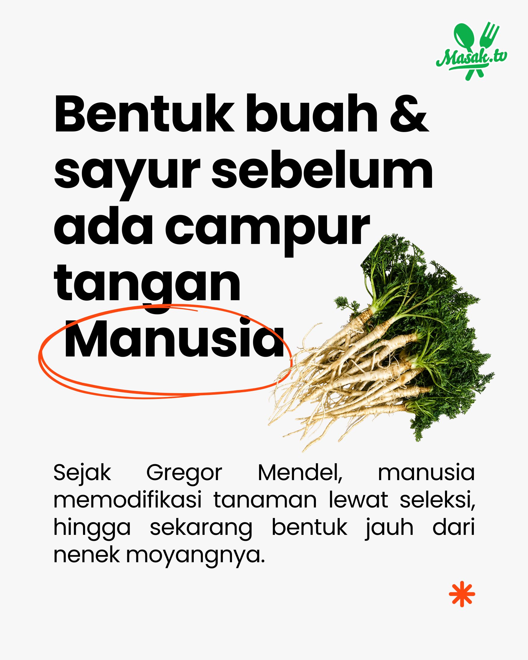 @MasakTV