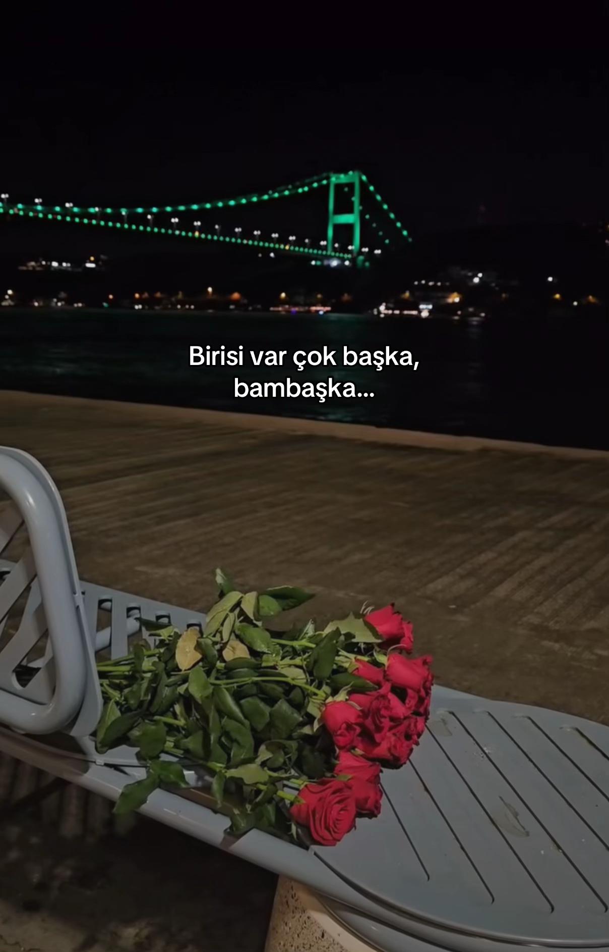 @seviyorgibiydin24