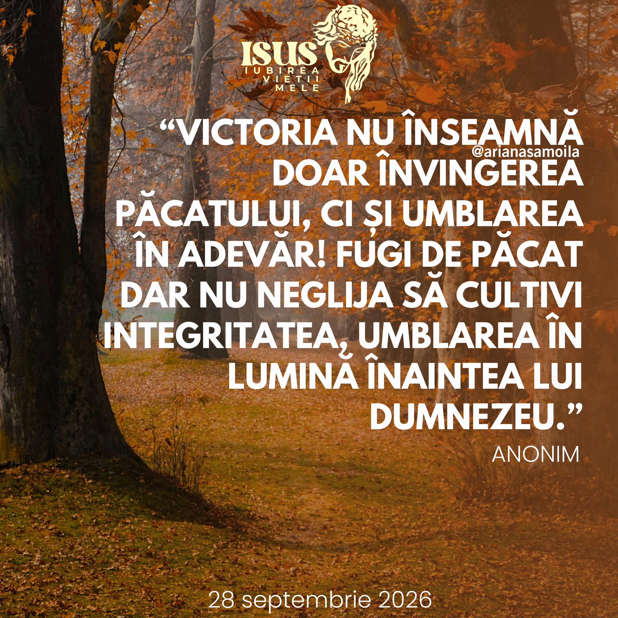 @Ariana Samoilă