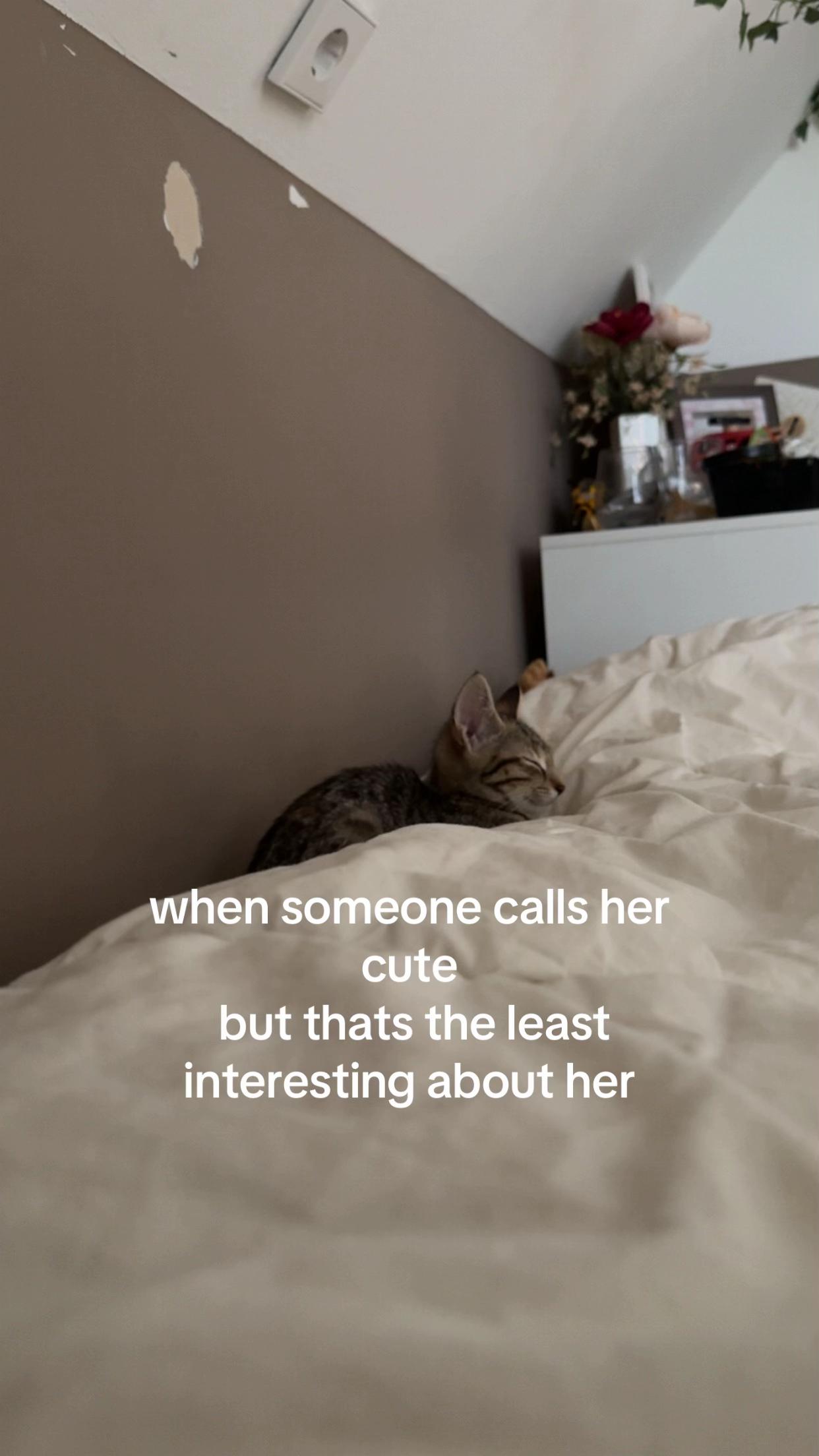 @Joscy 🙈