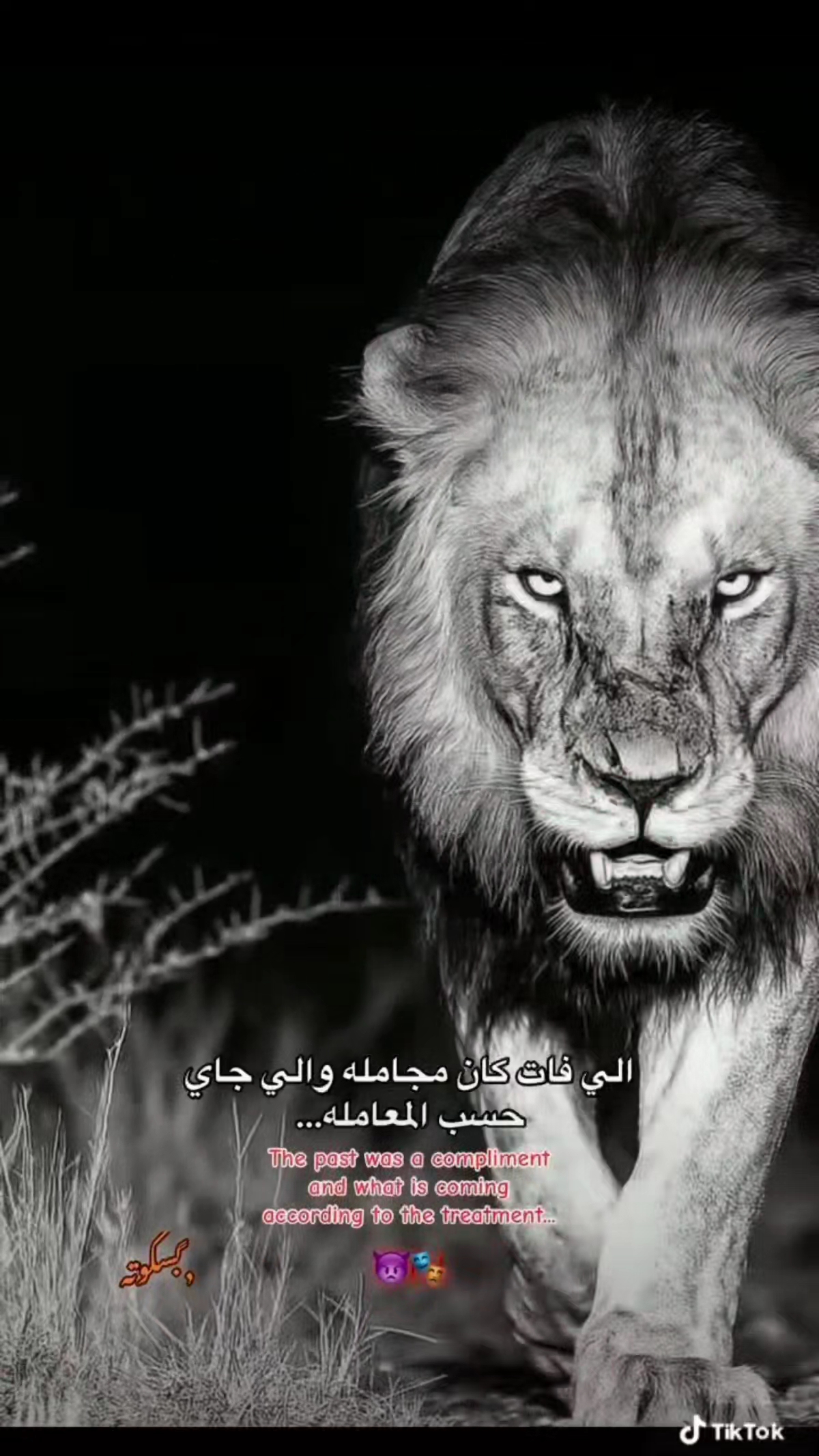 @🐺🥇الـبـ𝓔𝓵𝓫𝓸𝓭𝓪ود🥇🐺