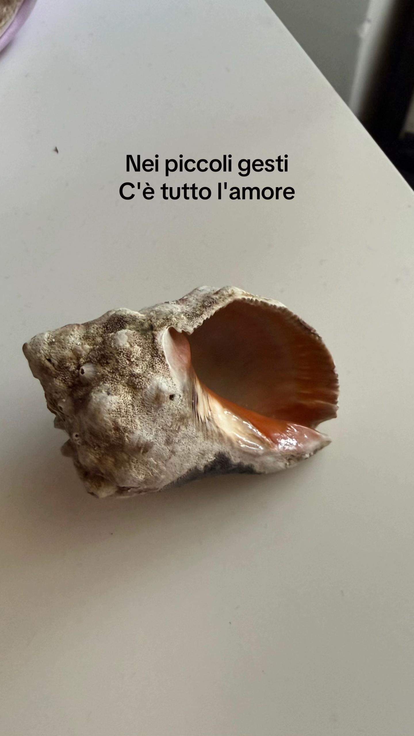@Alessia Nardella