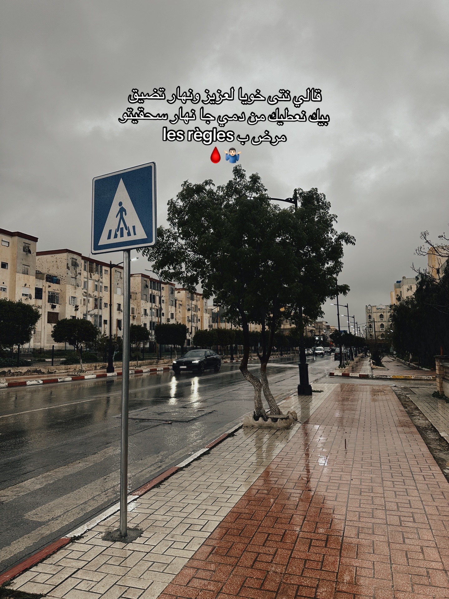 @Aymen