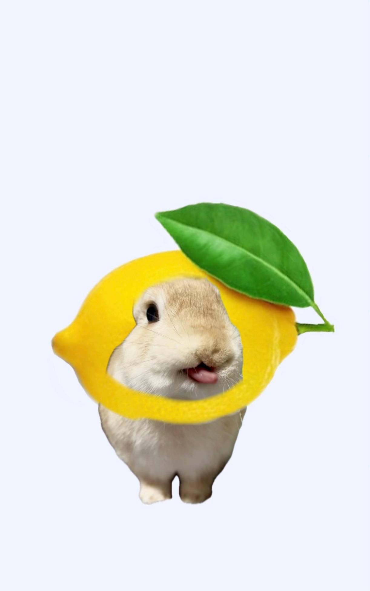 @WONDOO