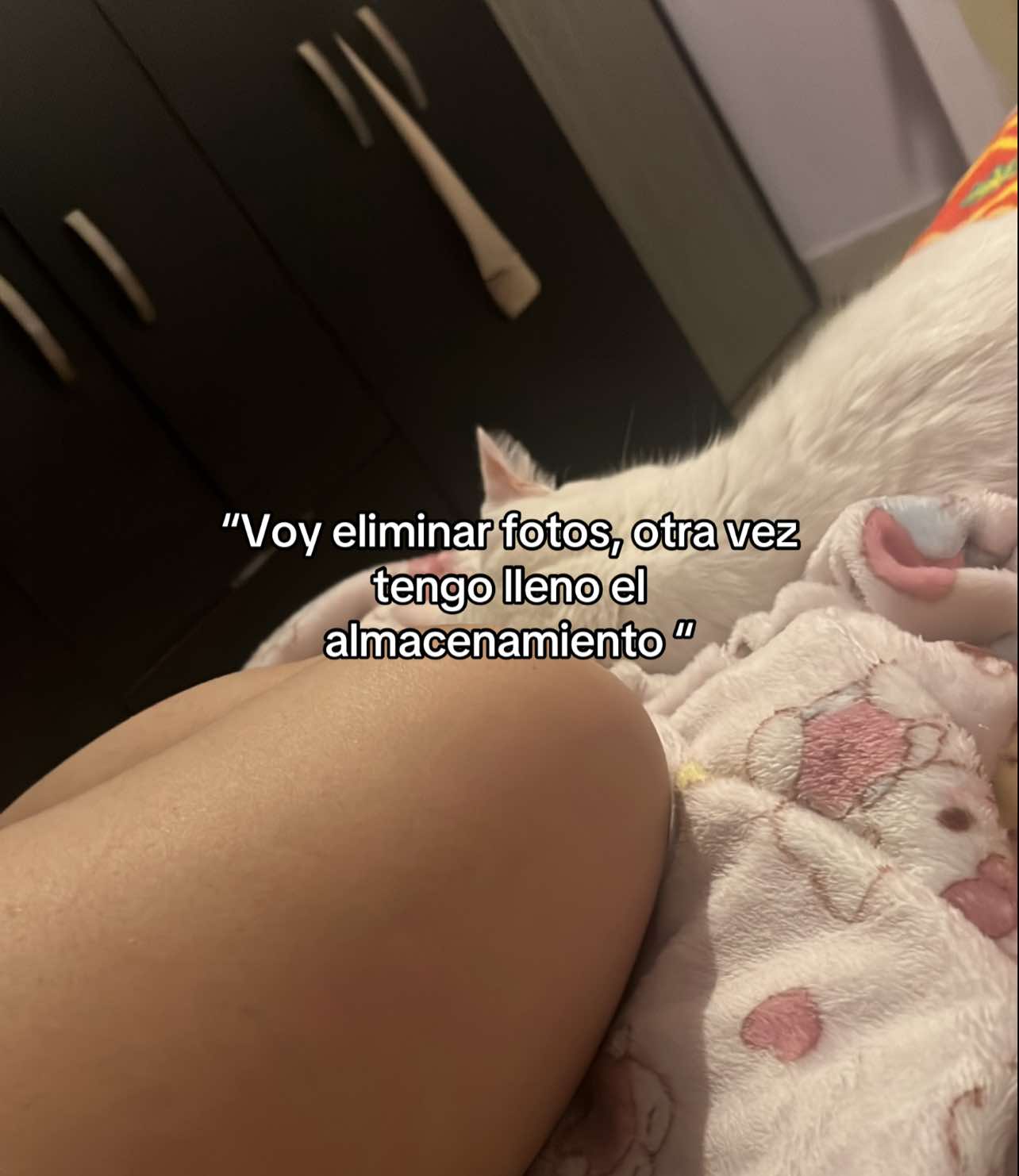 @Kitty
