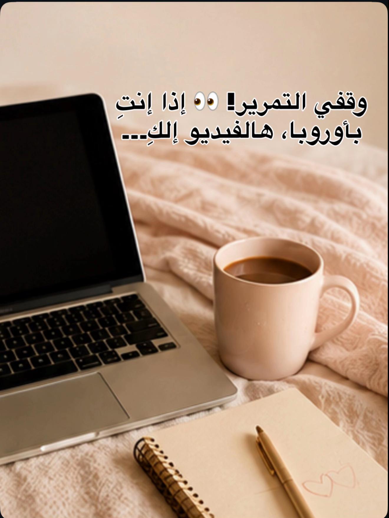 @Reoan💙Baran🩷Zerin