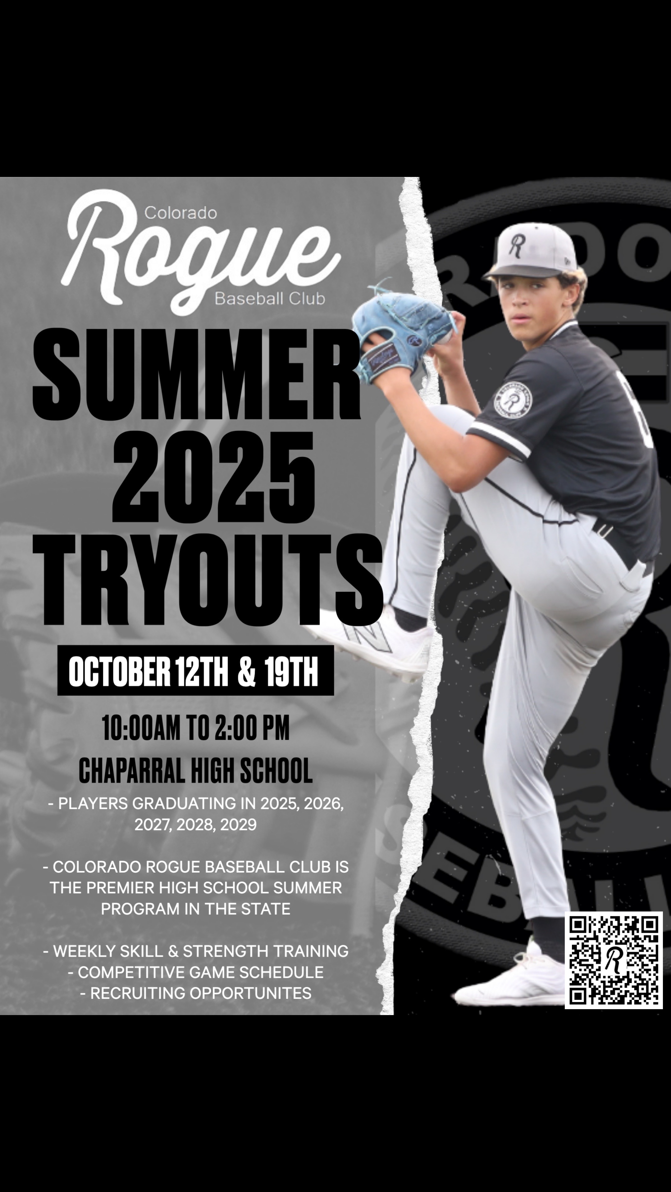 @Rogue Baseball Performance