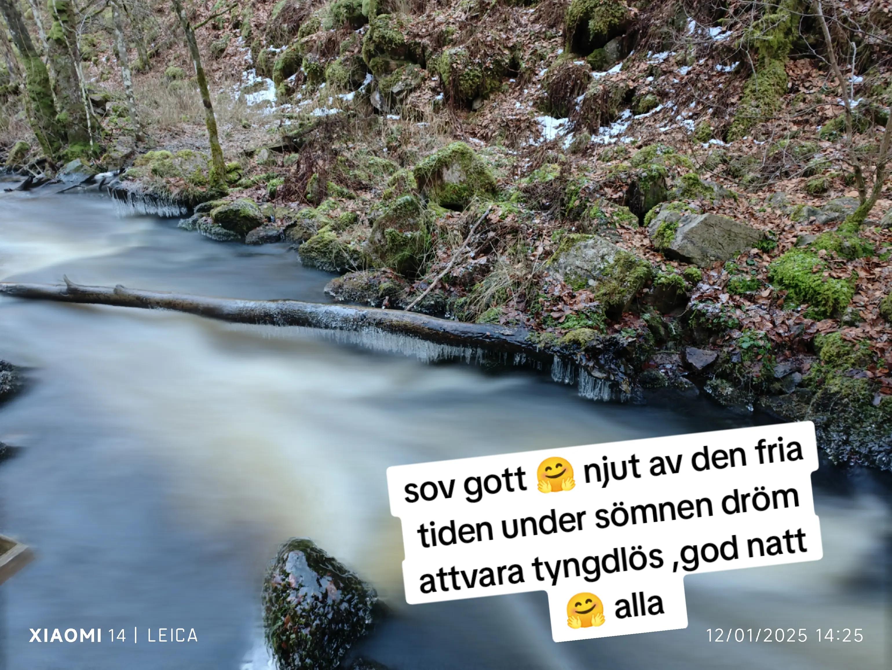 @🇸🇪M.i.K.E 🇸🇪 Sweden 📸