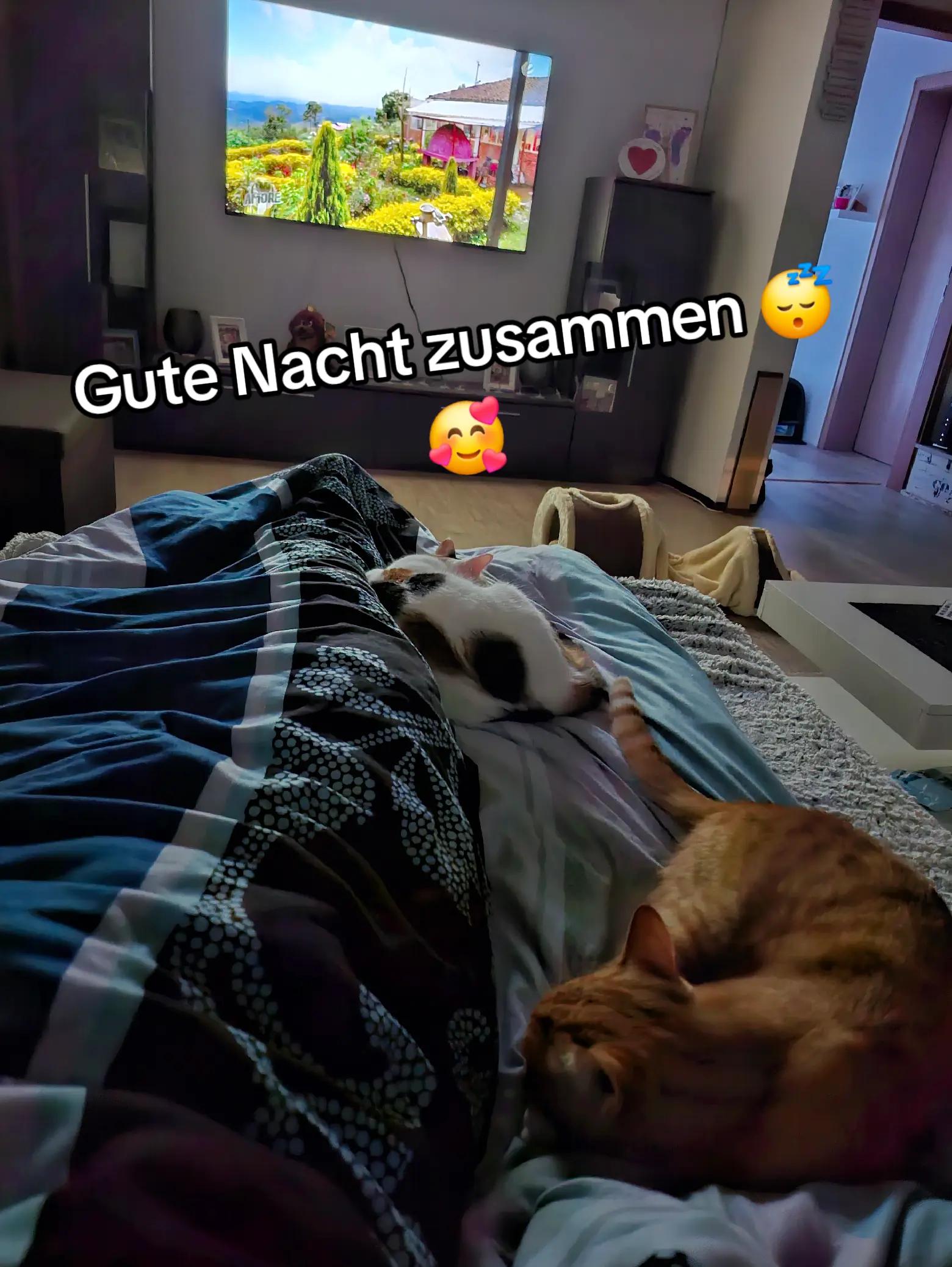 @🪣🧽 Reinigungsservice Weiß
