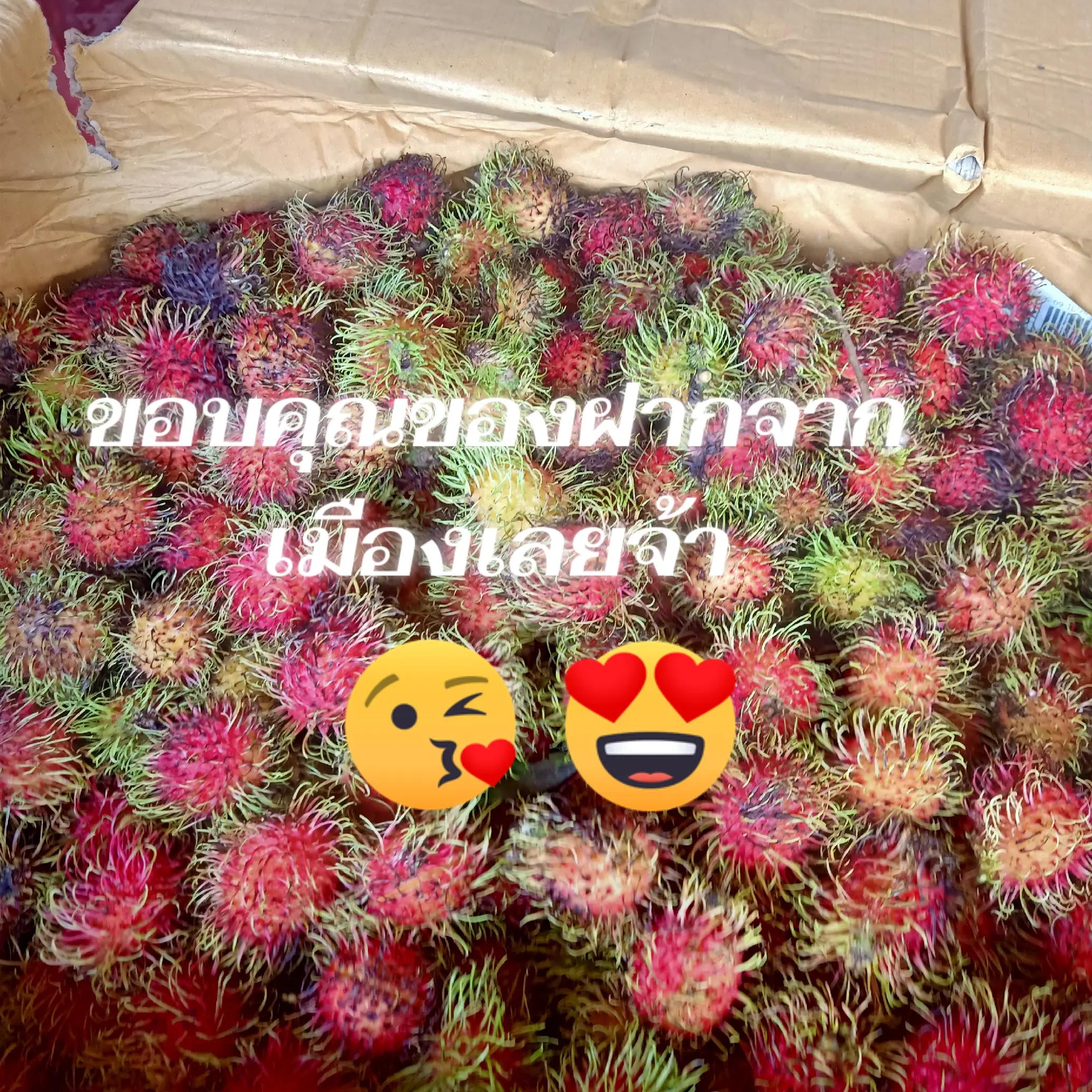 @pen2518