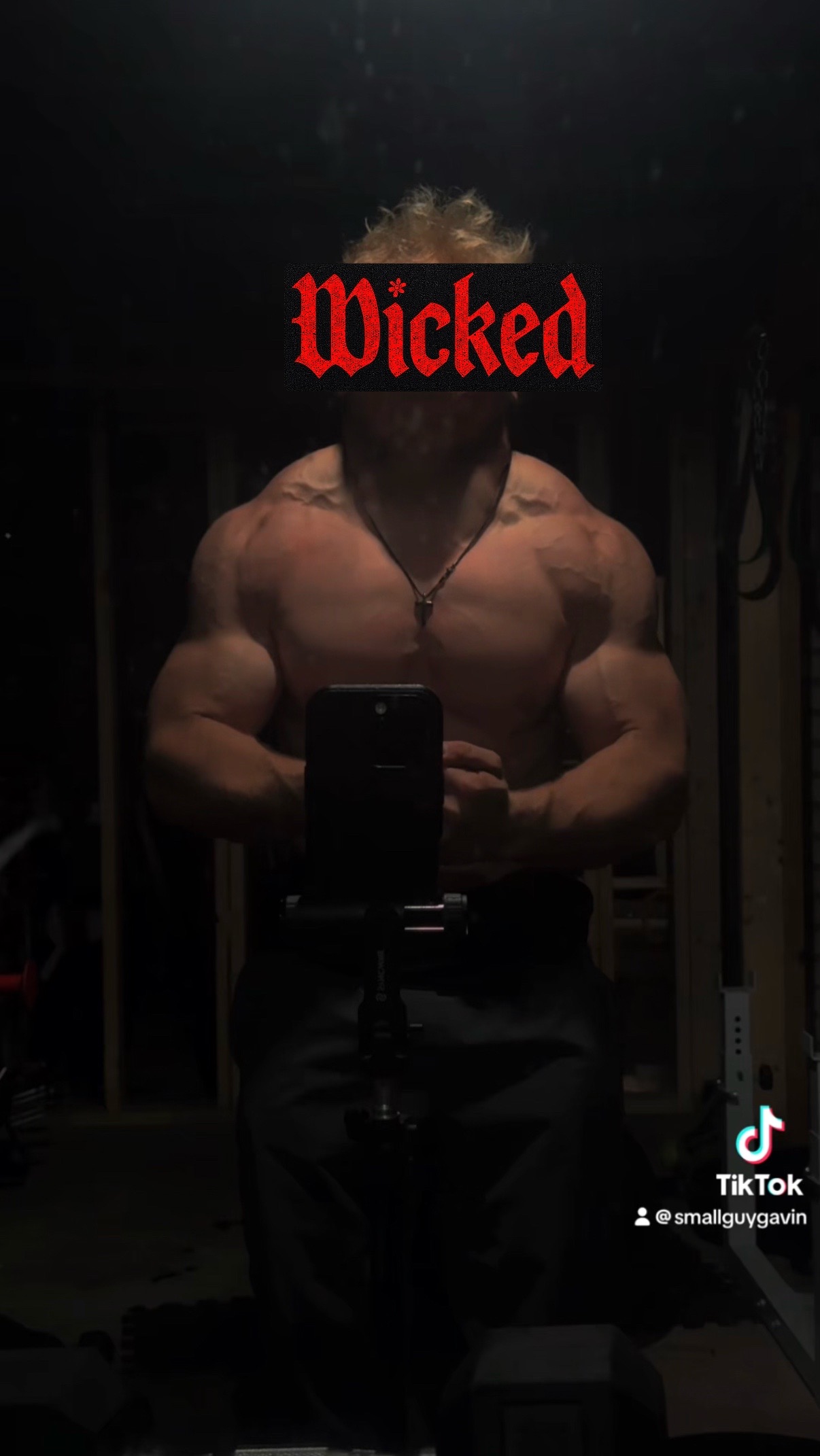 @Smallguygavin 🧬