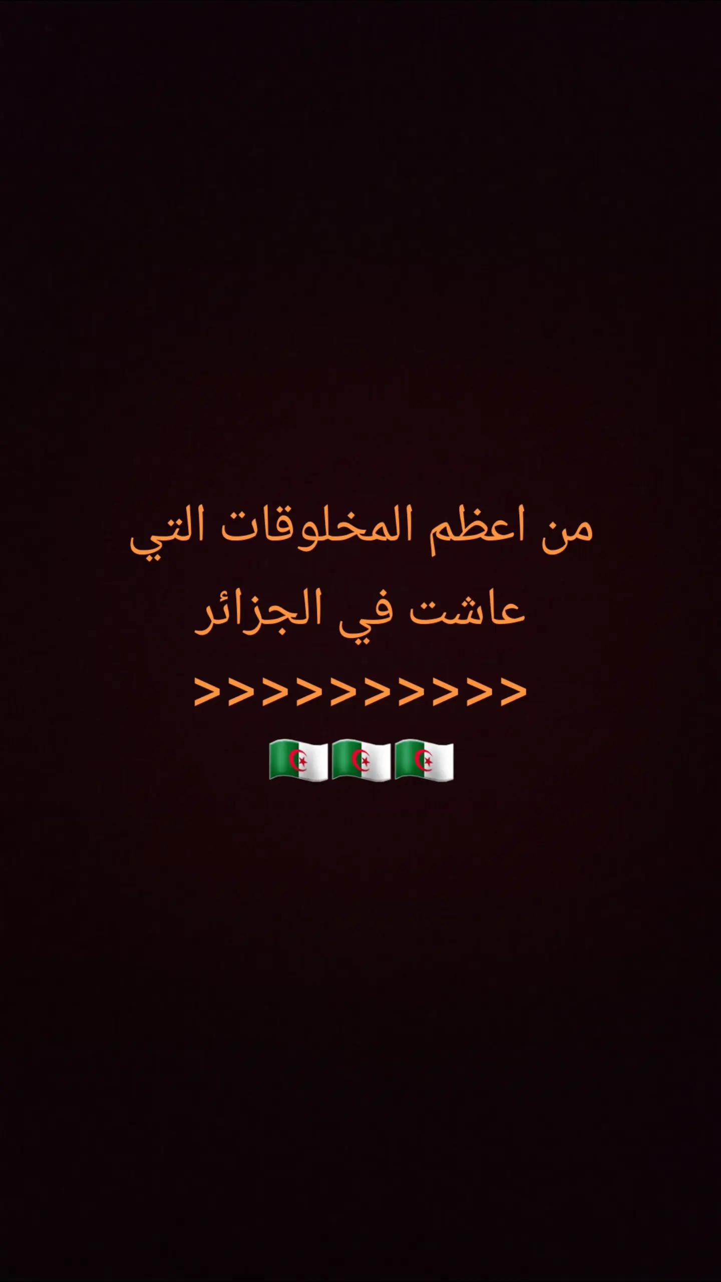 @ramziaouadj93