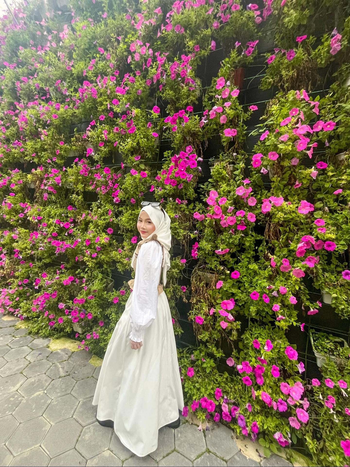 @莉莉