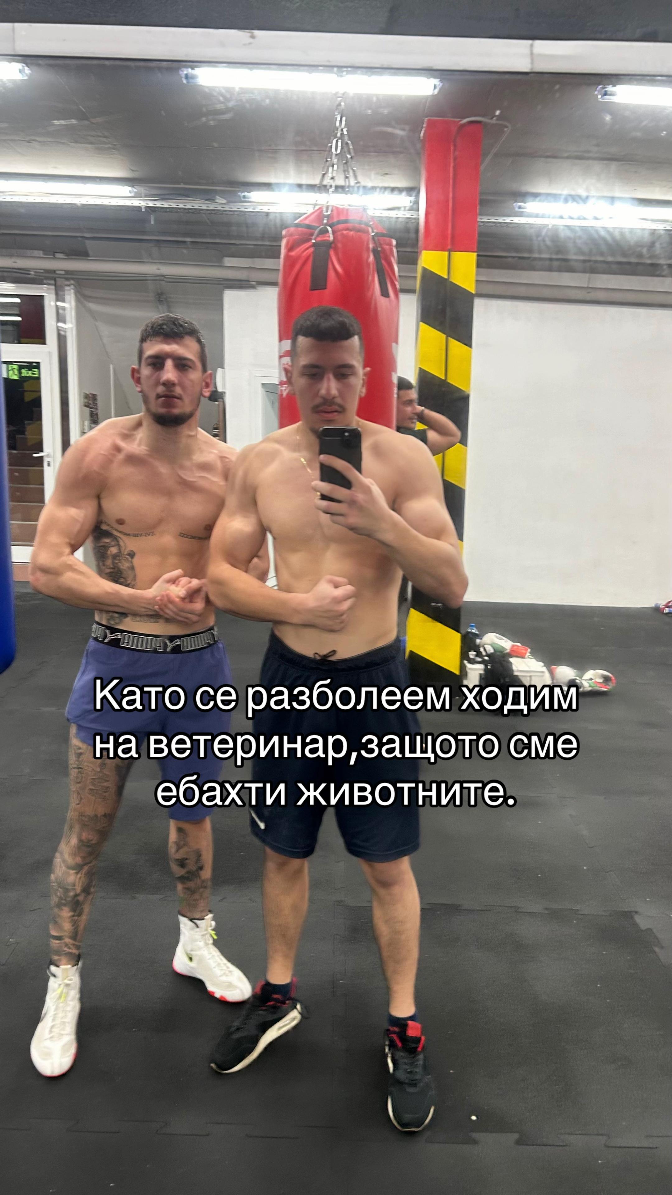 @dimitarr.dimitrovv