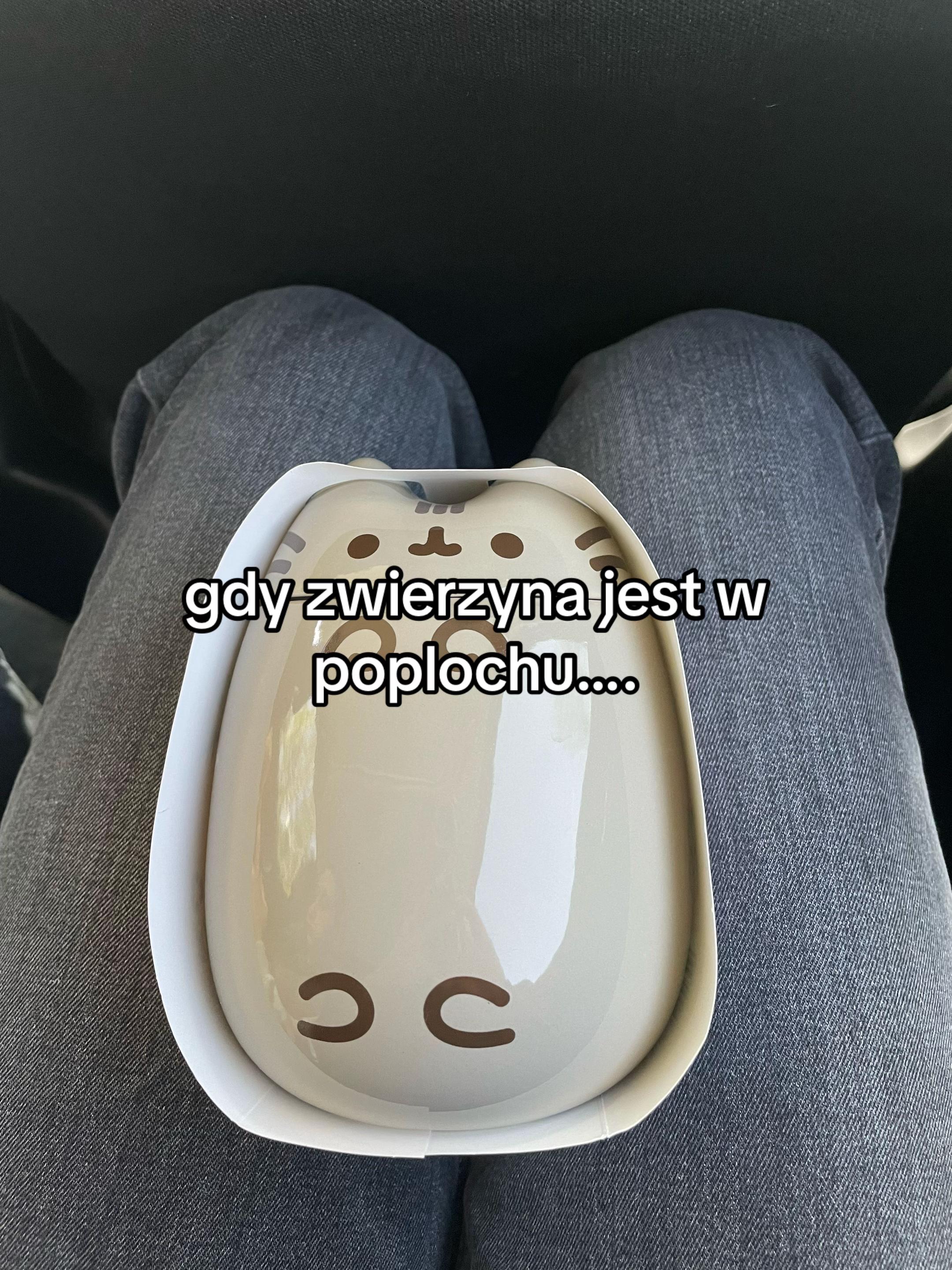 @kotfaja