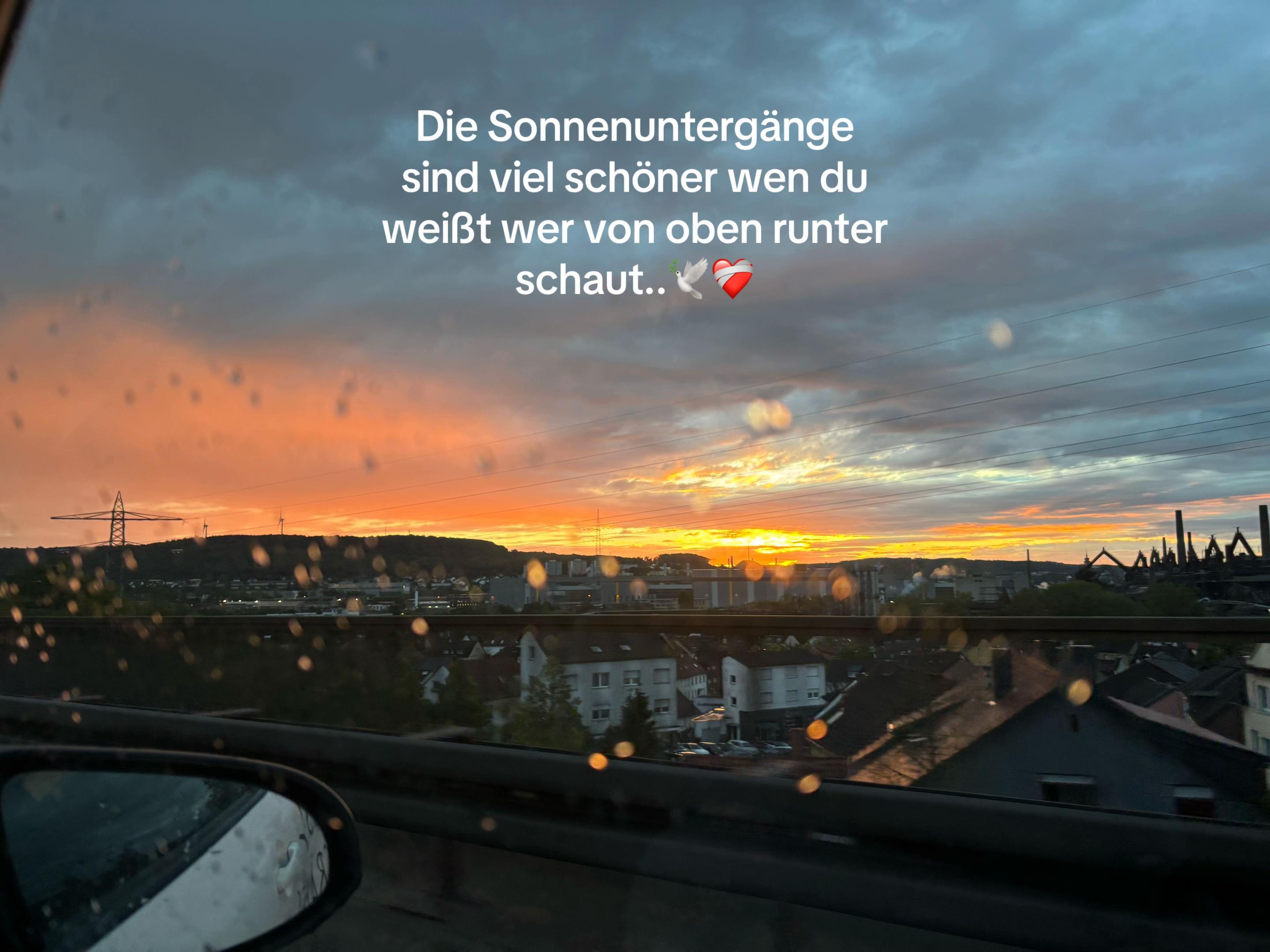 @🕊️