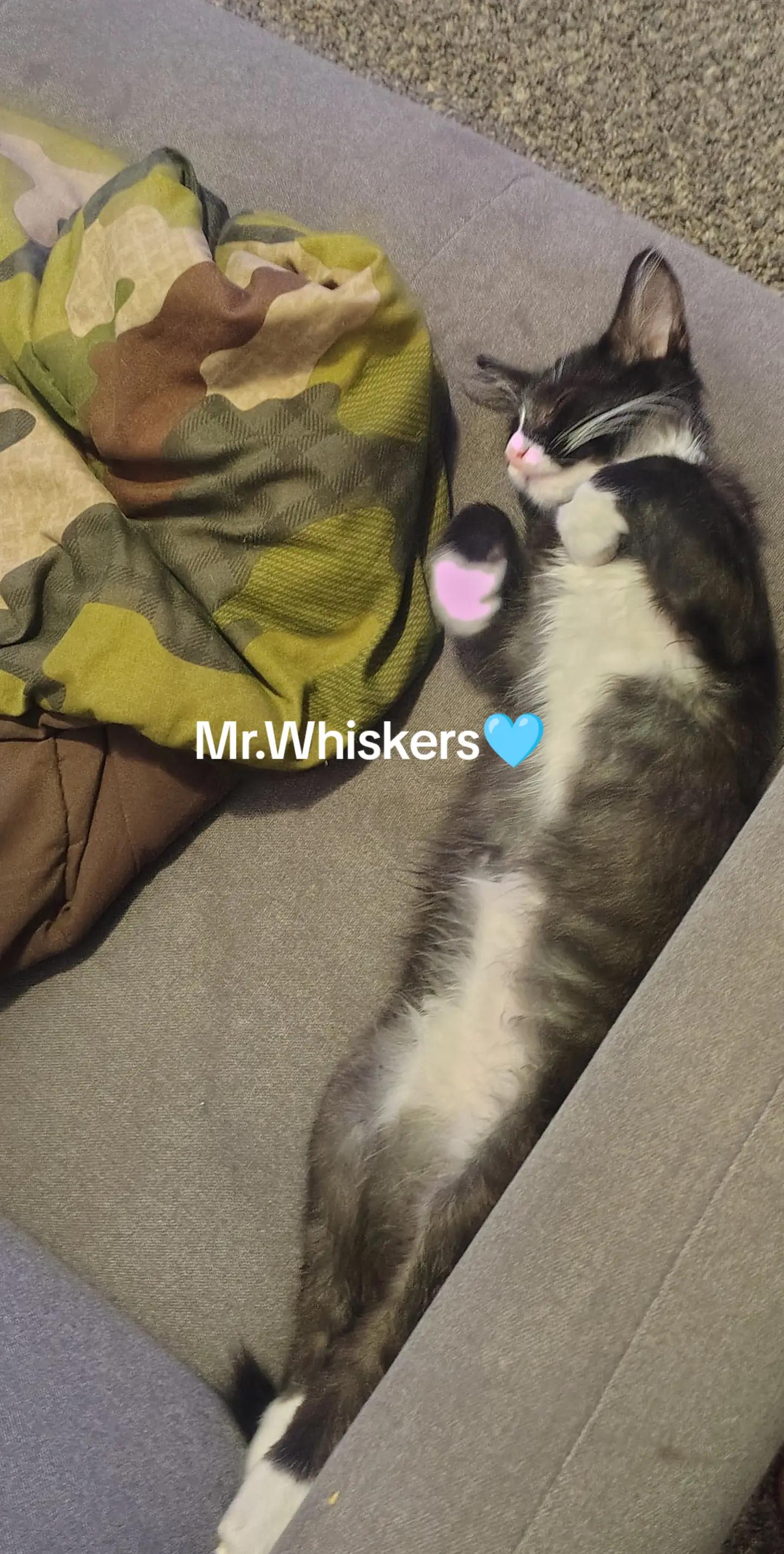 @Jackiec420