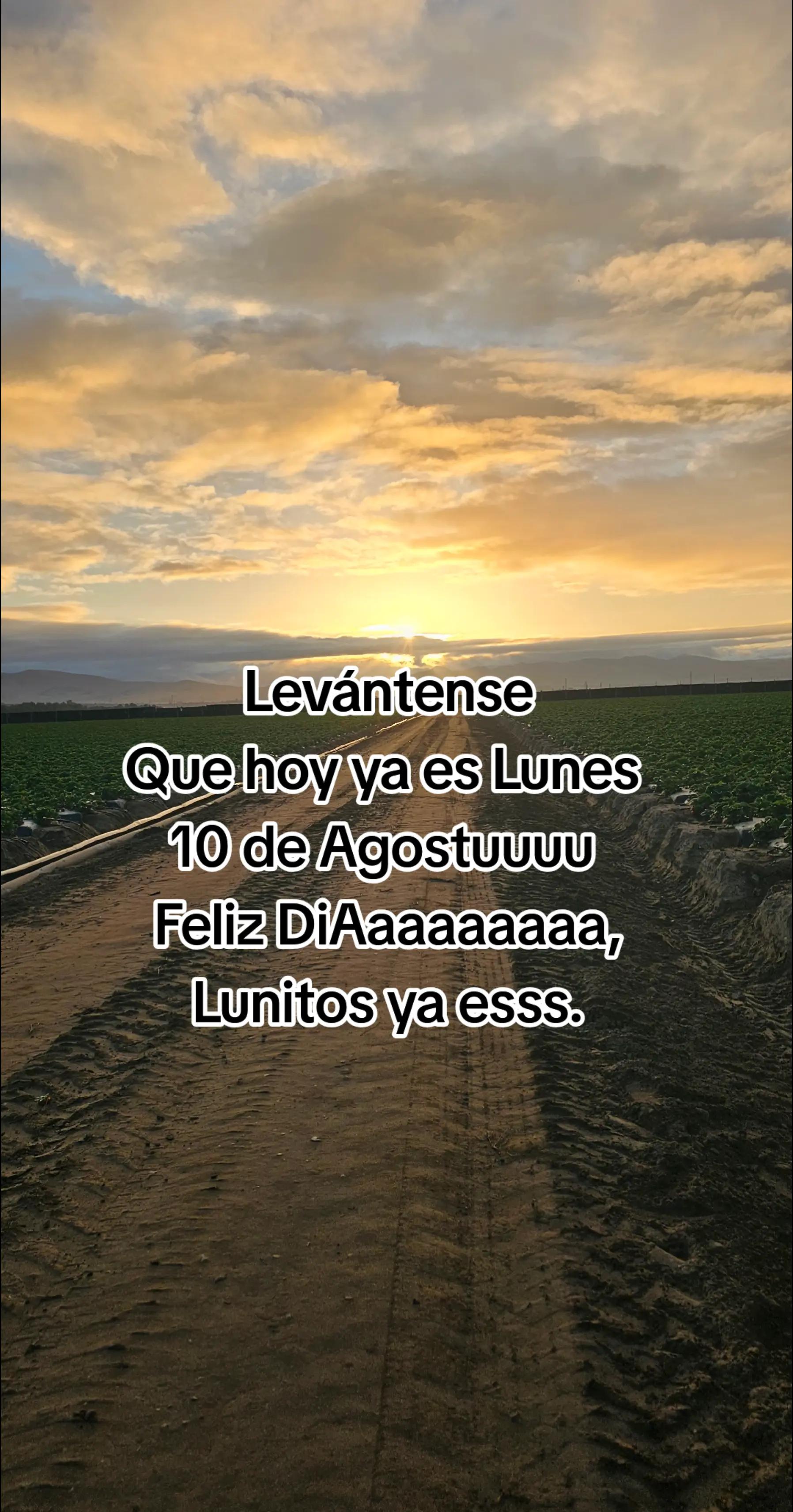 @🇲🇽🐦⬛🪺VASQUEZ🚚🌪💎
