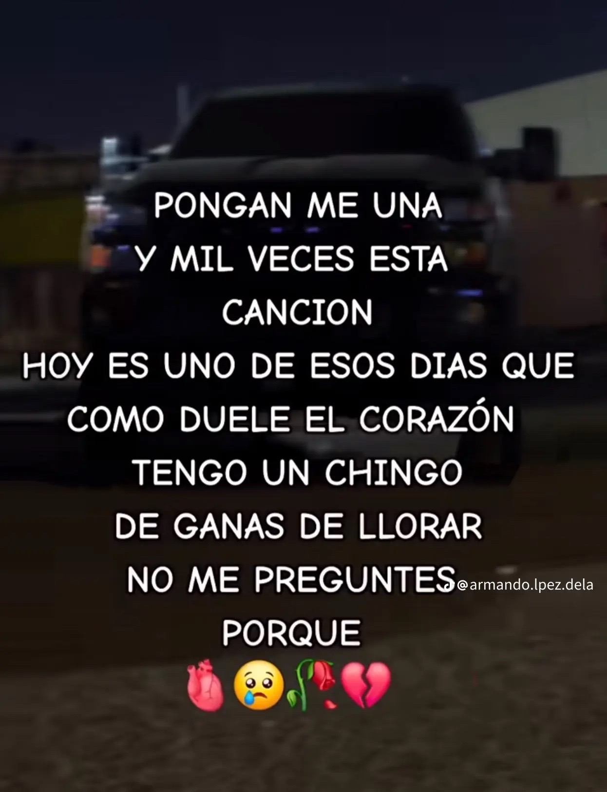 @🐚🐚@GRACIELA ÁVALOS MICHEL🐚