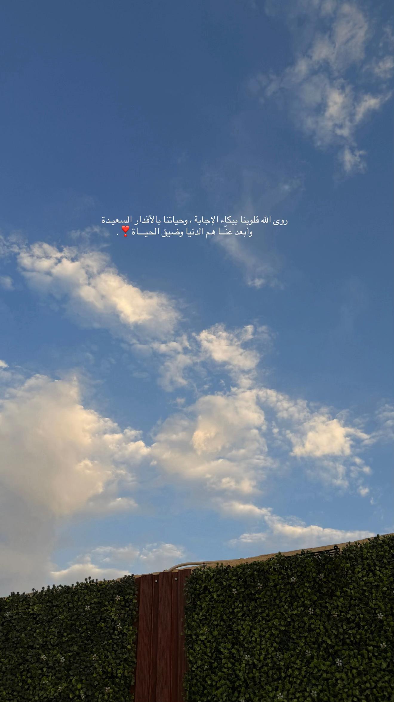 @مرام المدينه🦌