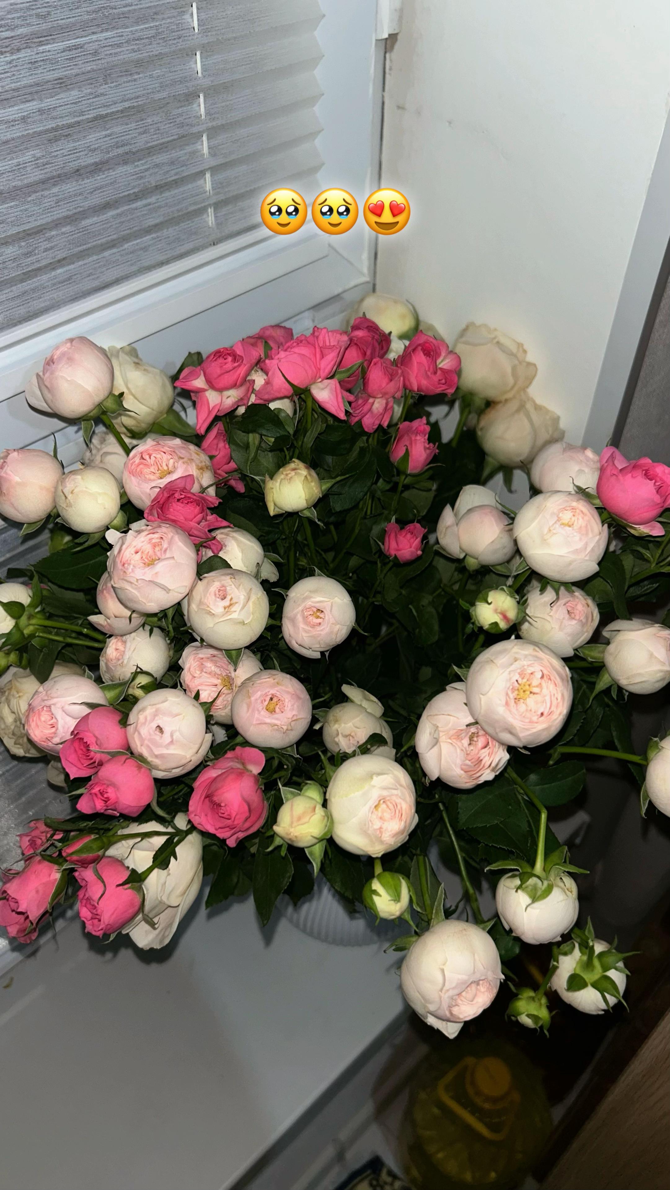 @asonnn💞