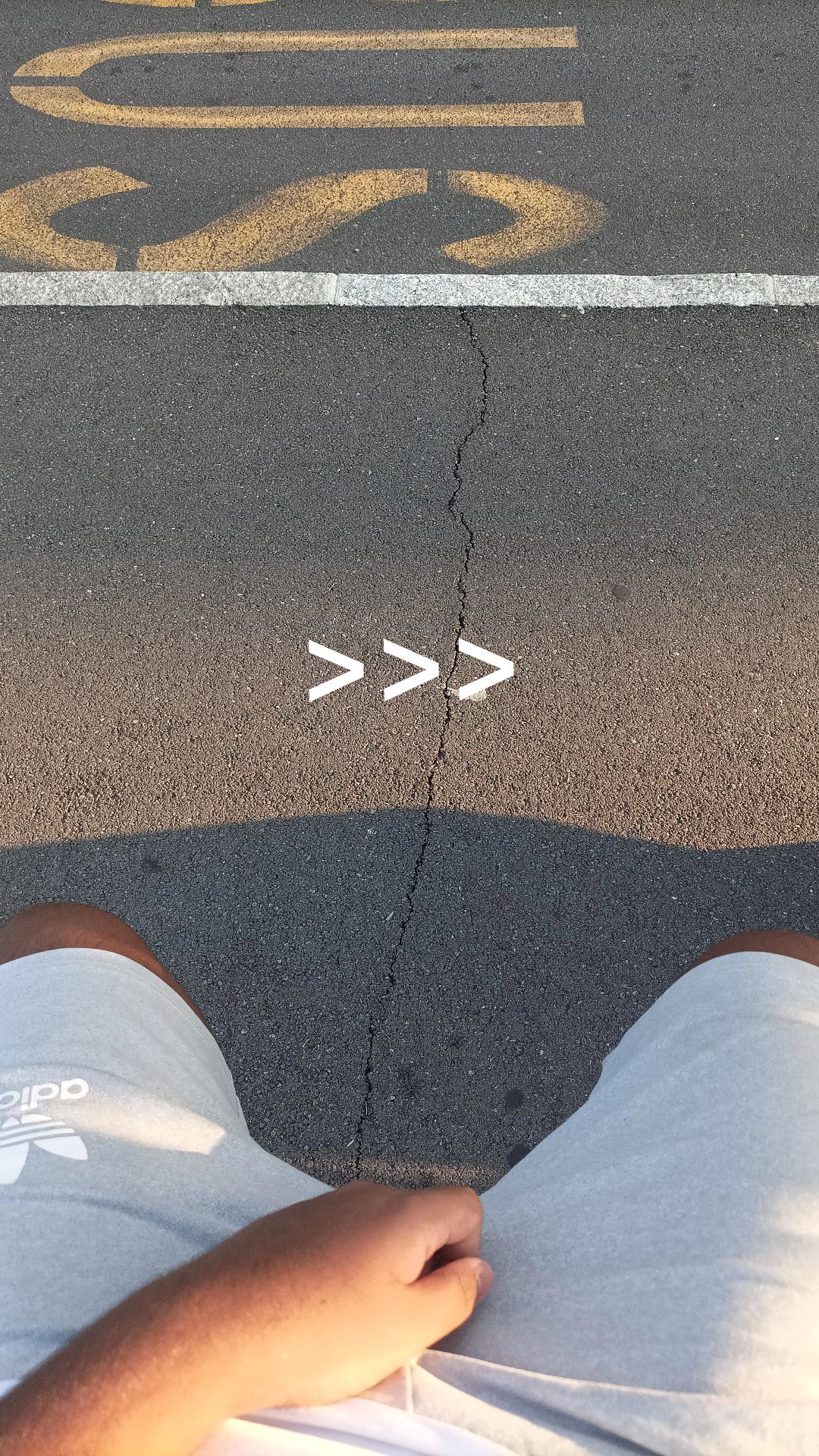 @⋆🐺 🆂🅷🅴🅼🅸🅻 ⋆