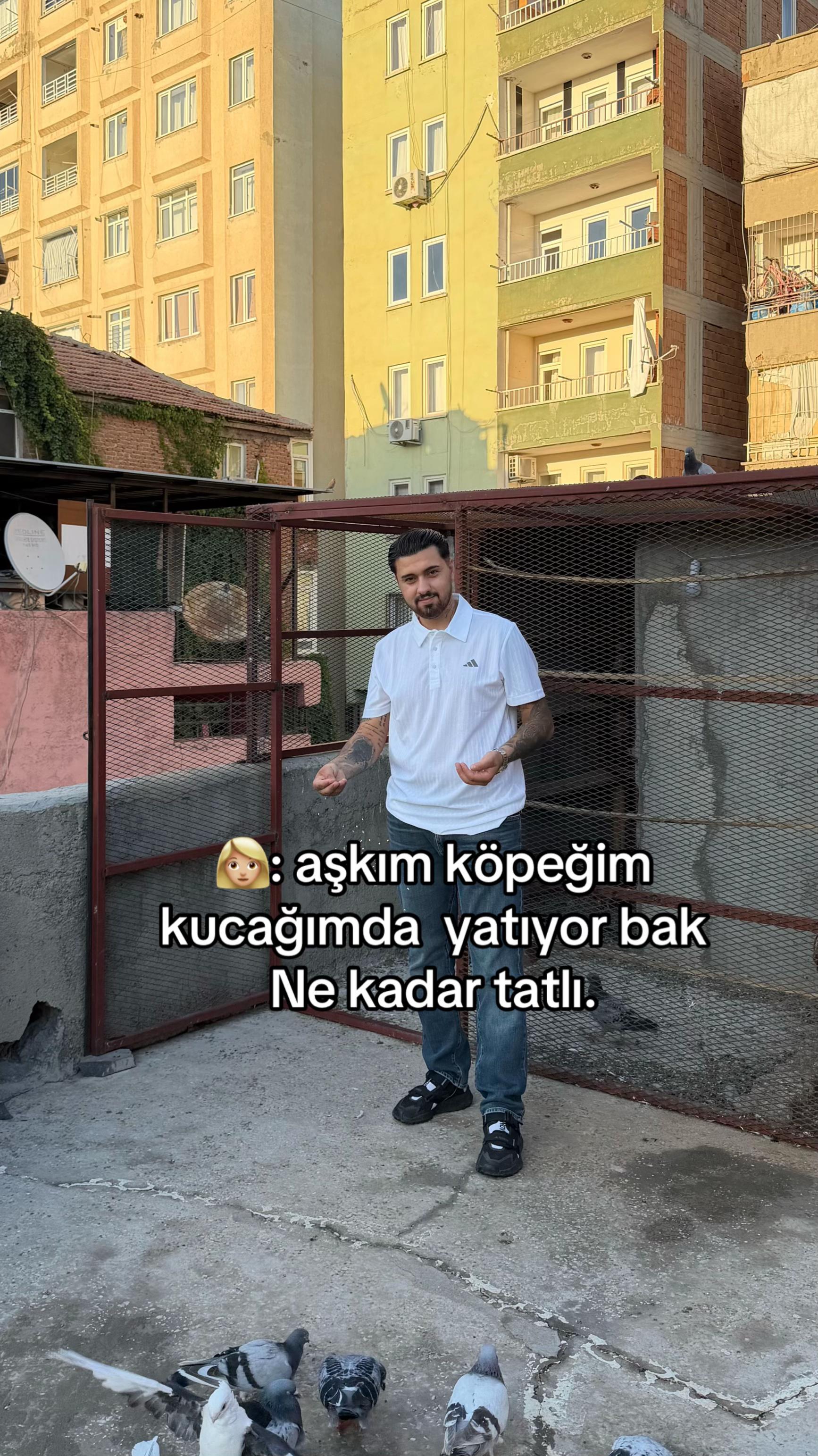 @Muhammed Polat