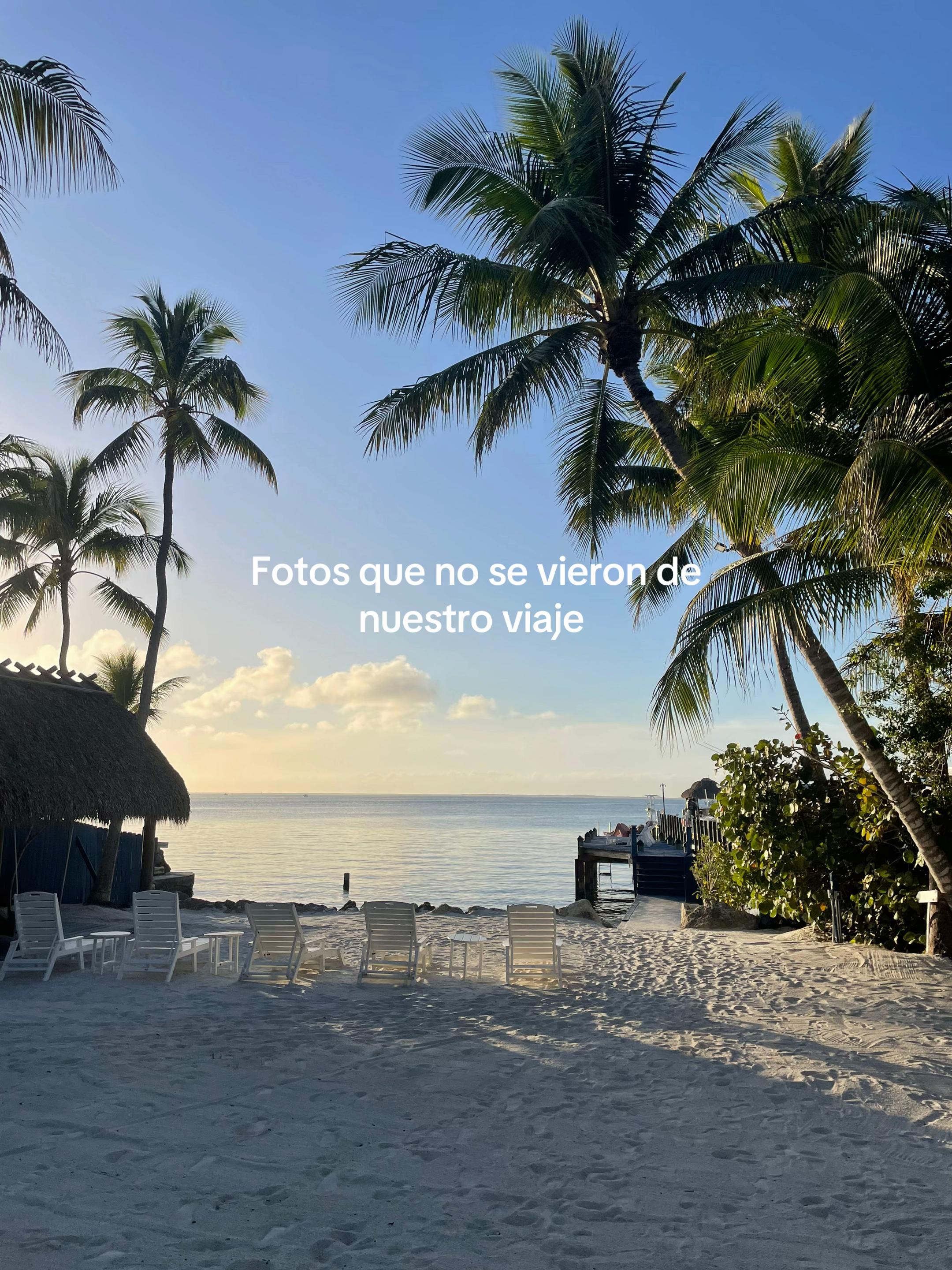@Josefina Fonseca