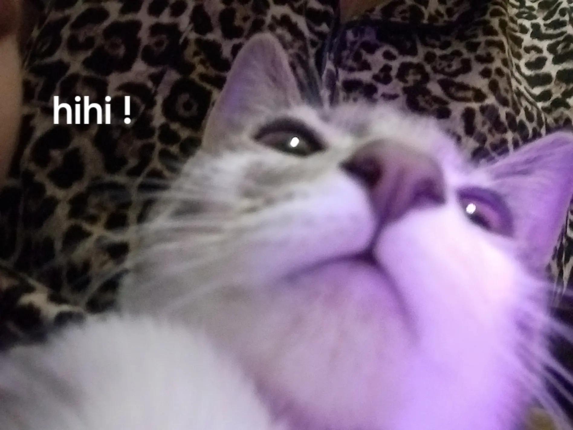@๐๐๐๐.๐
๐๐๐๐
๐๐๐๐โ