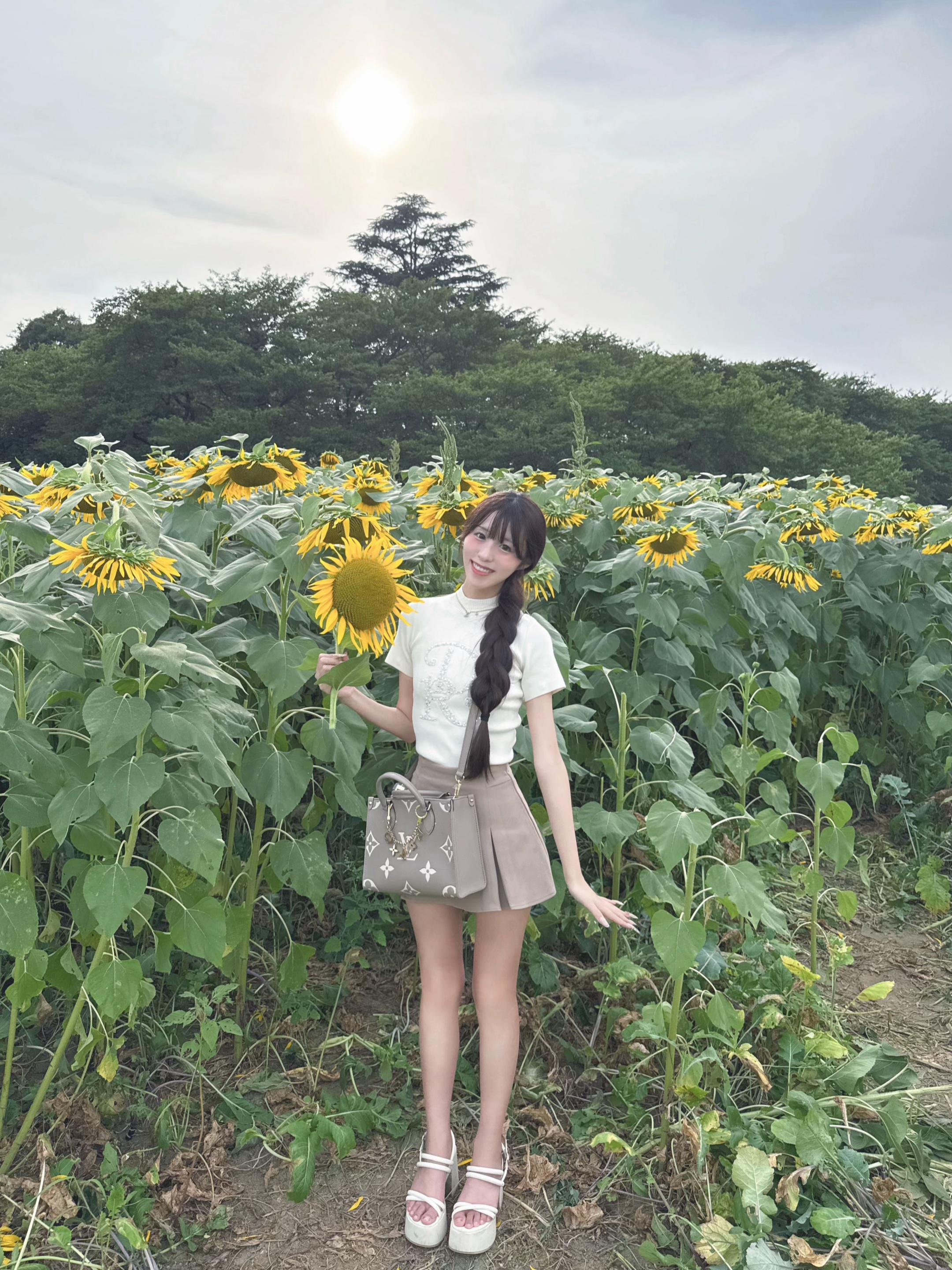 @パピコ