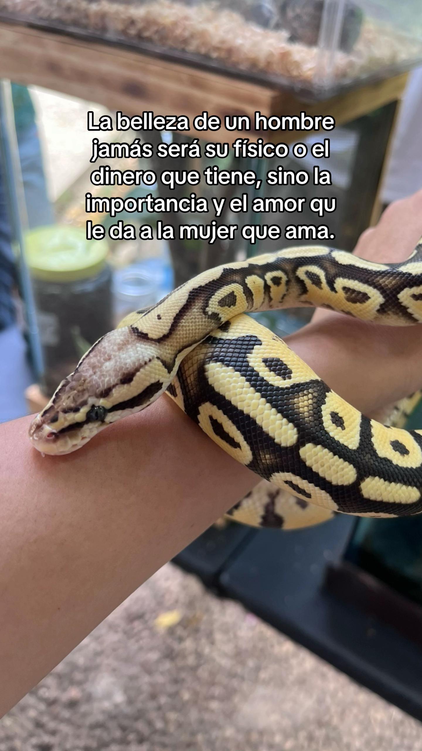 @𝓕𝓻𝓲𝓭𝓪 𝓒𝓪𝓼𝓽𝓲𝓵𝓵𝓸 🫀