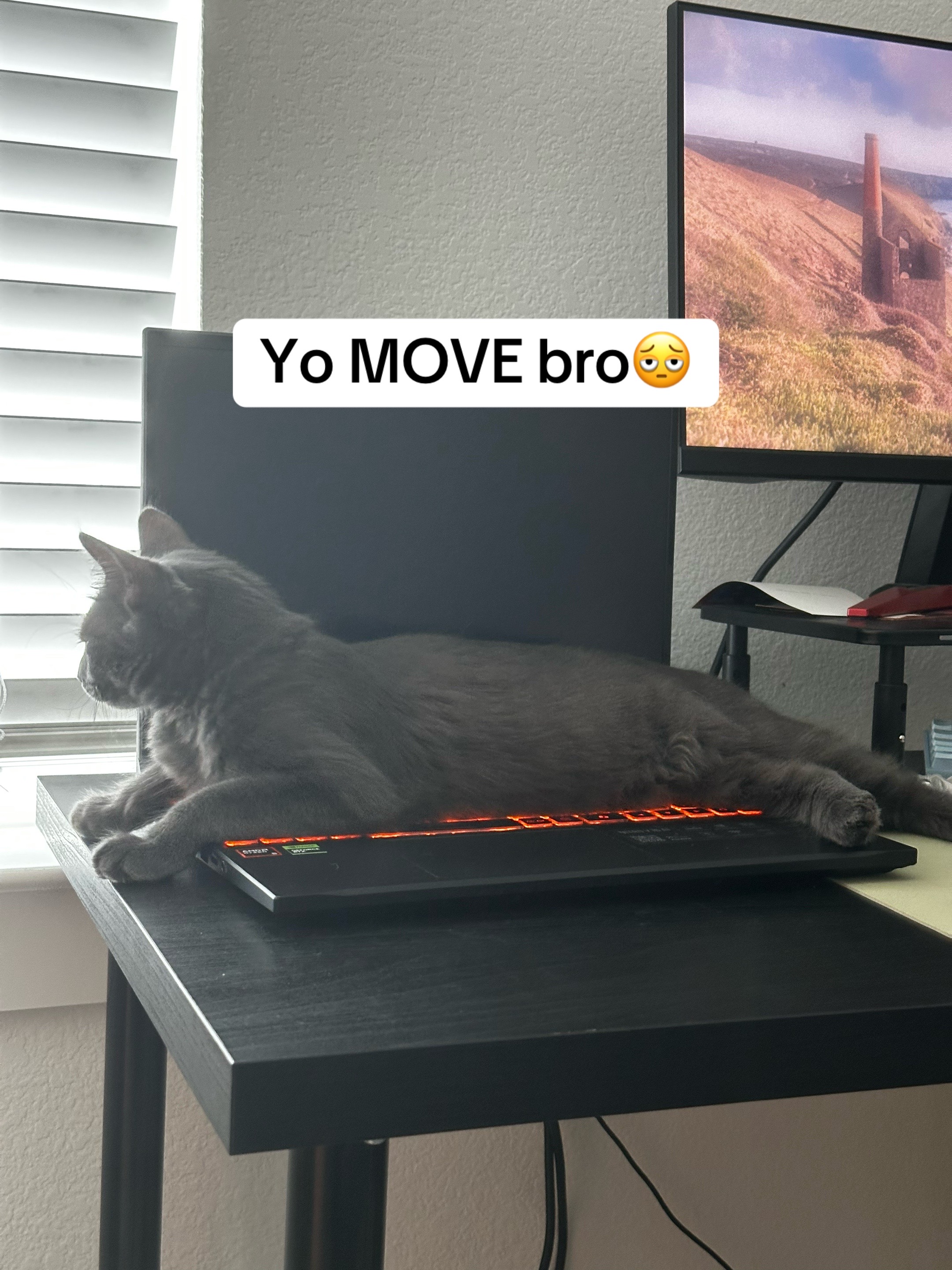 @Konnor🐿️