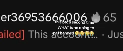 @HamNCheese Sandwich guy