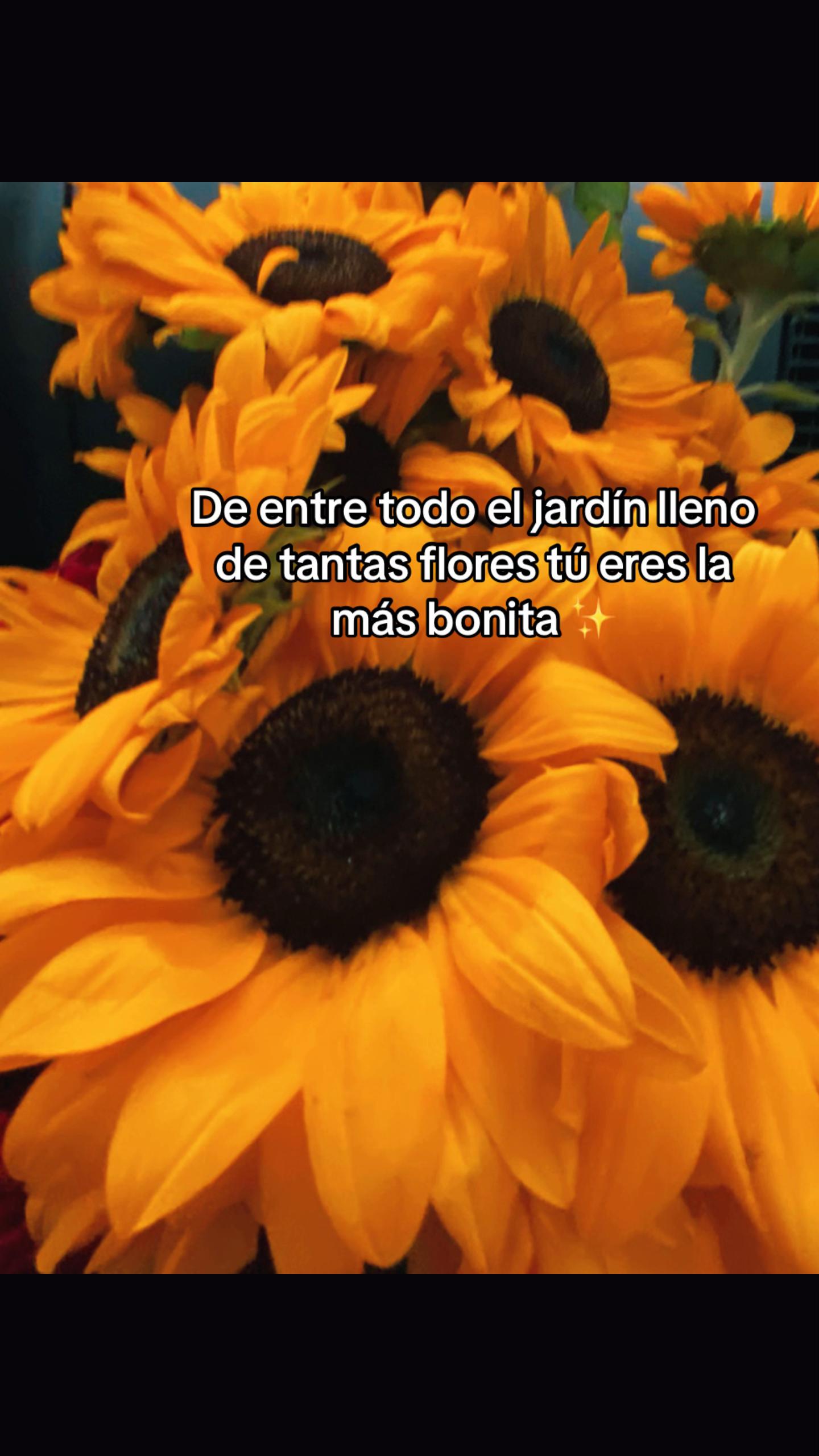 @Anely Jade
