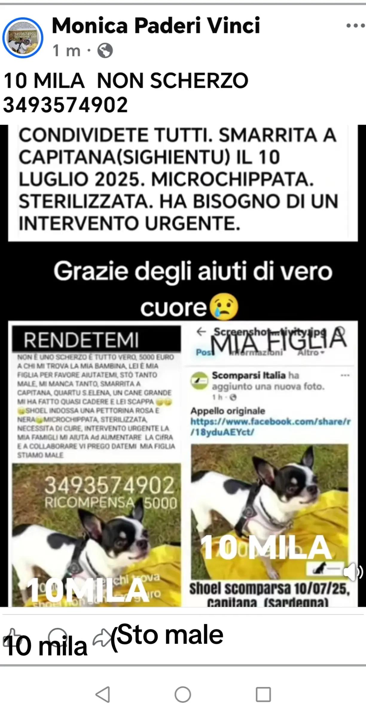 @GLI Sgomberi DI Monica paderi