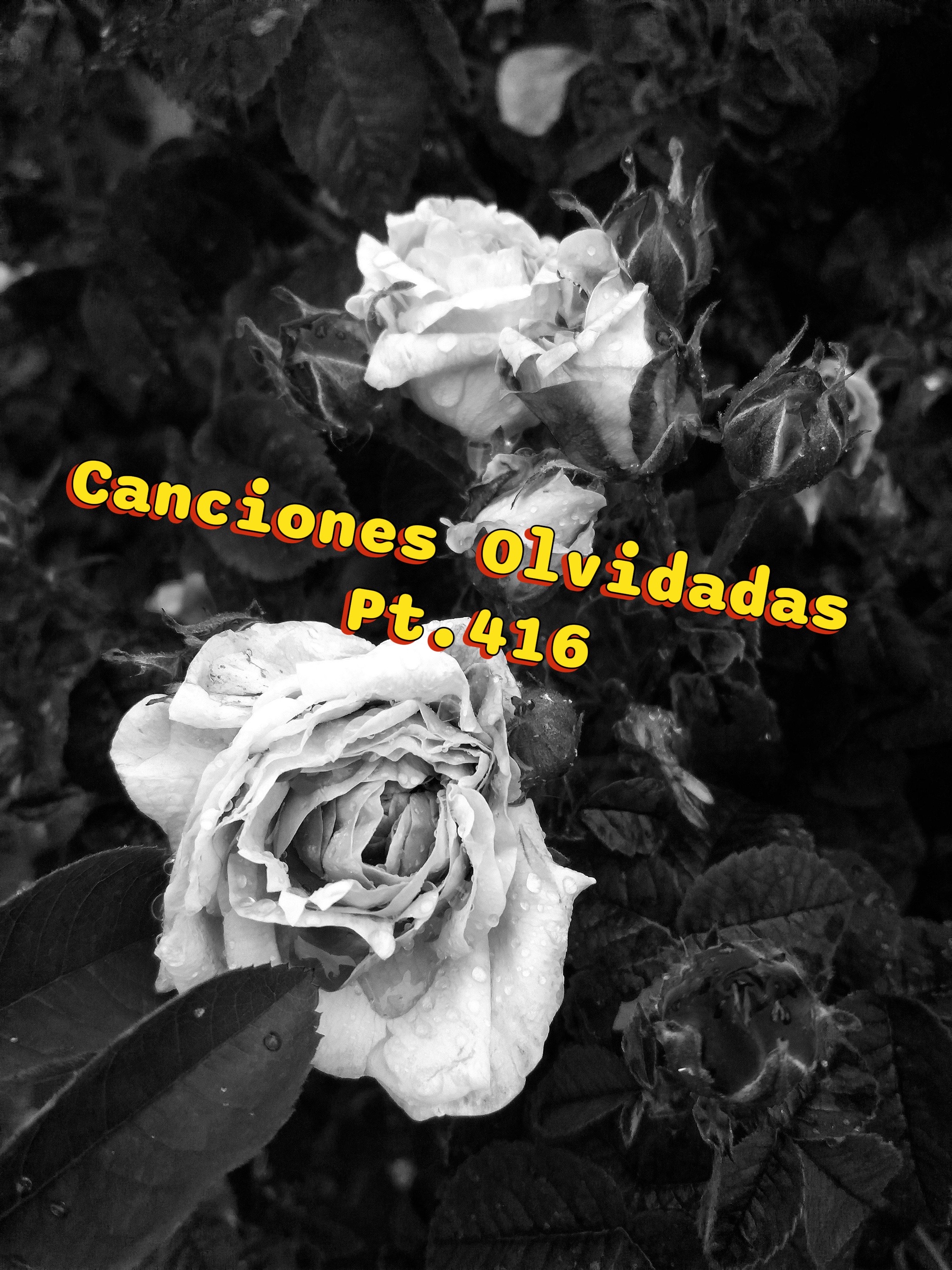 @TUDJJD