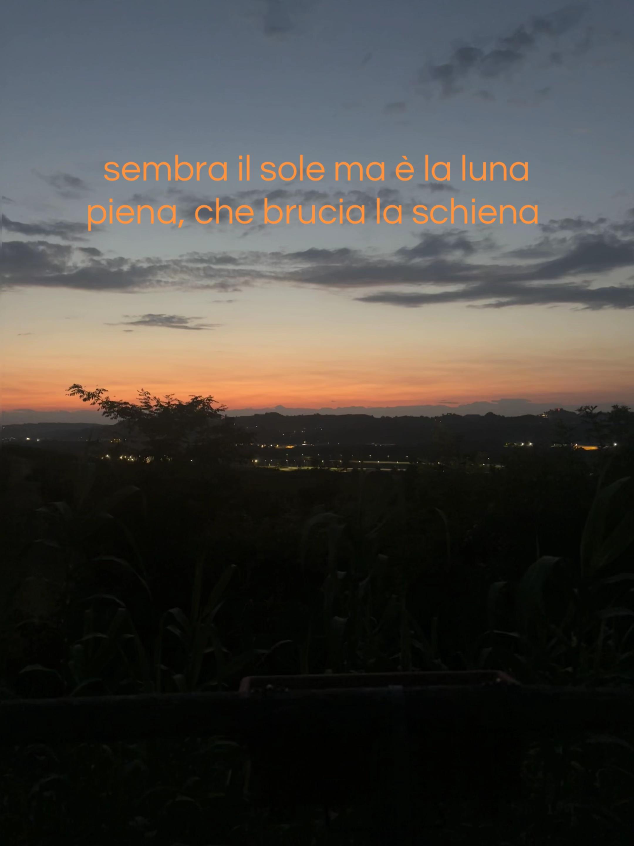 @gine.spamm__