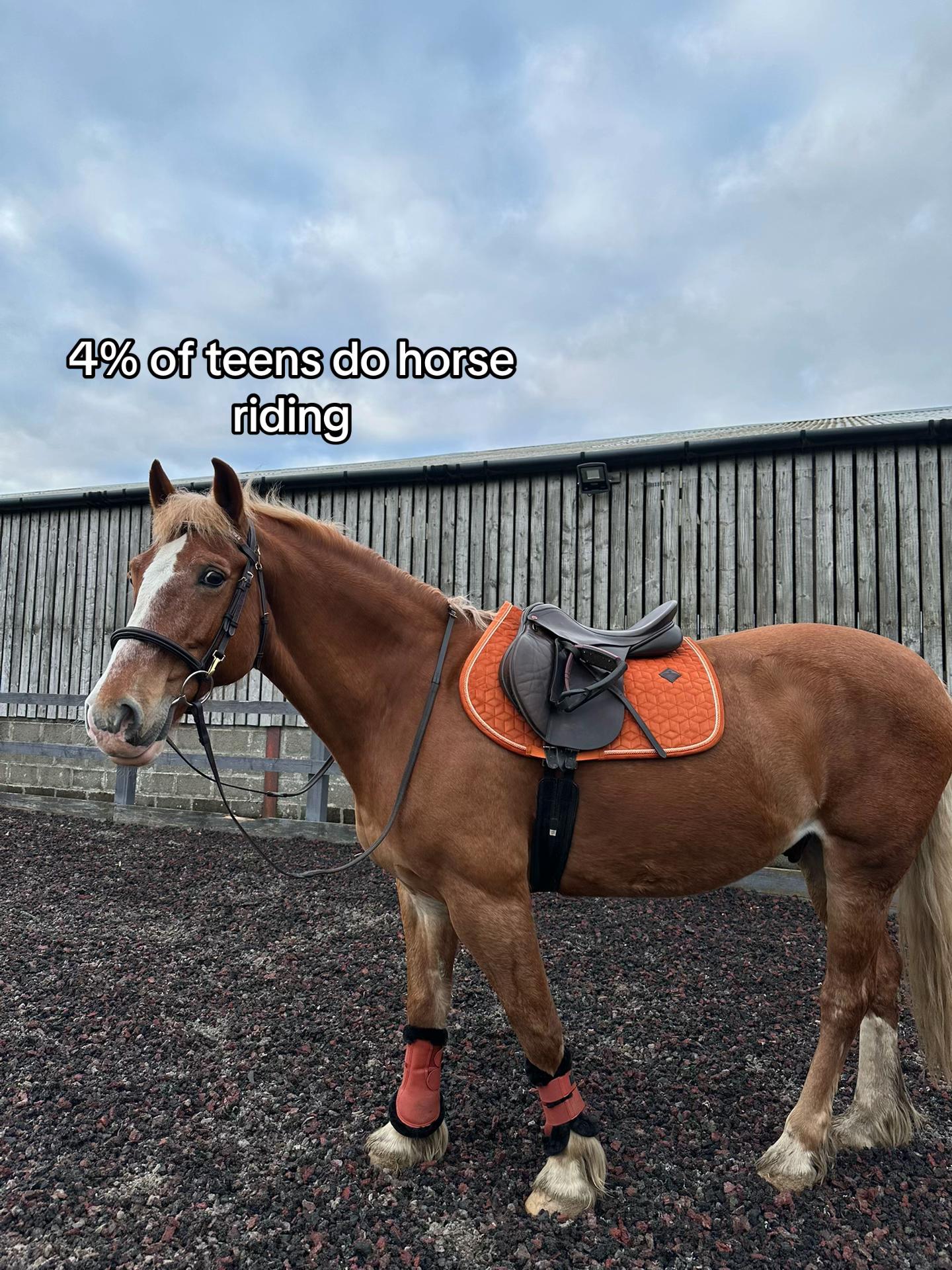 @Ellie 🐴🏎️
