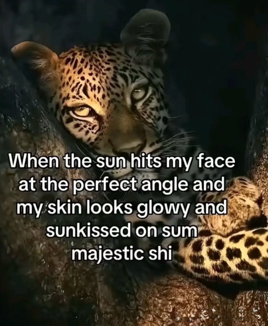 @Amiri (6’3) man