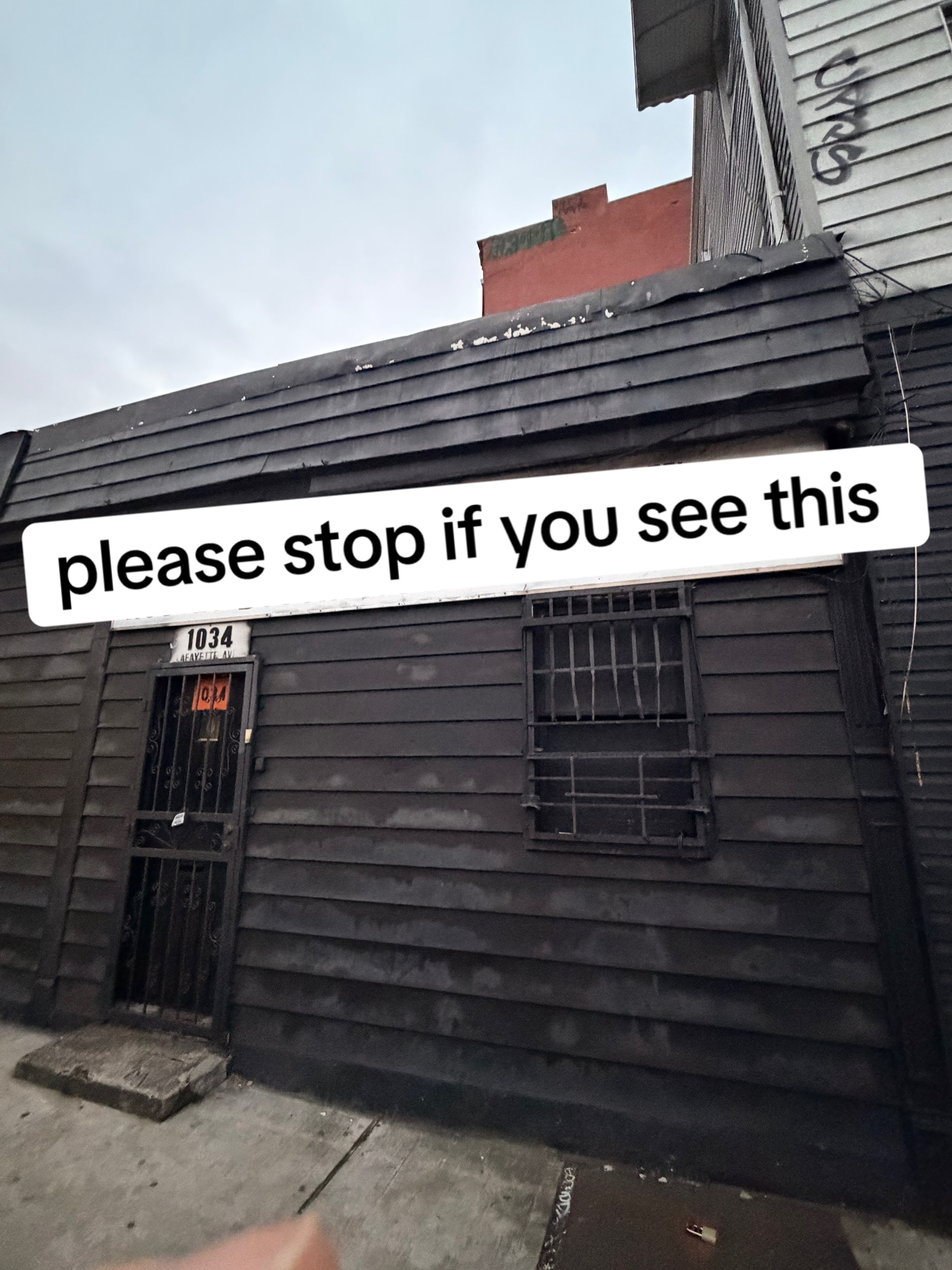 @Mitchell Leonard