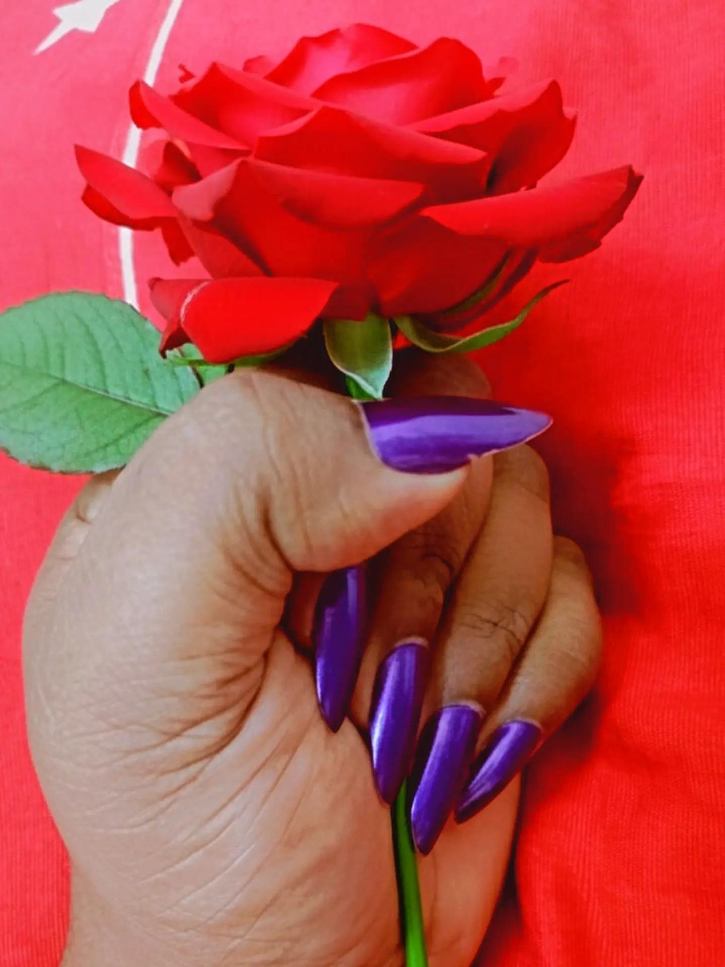 @Charu Charuz
