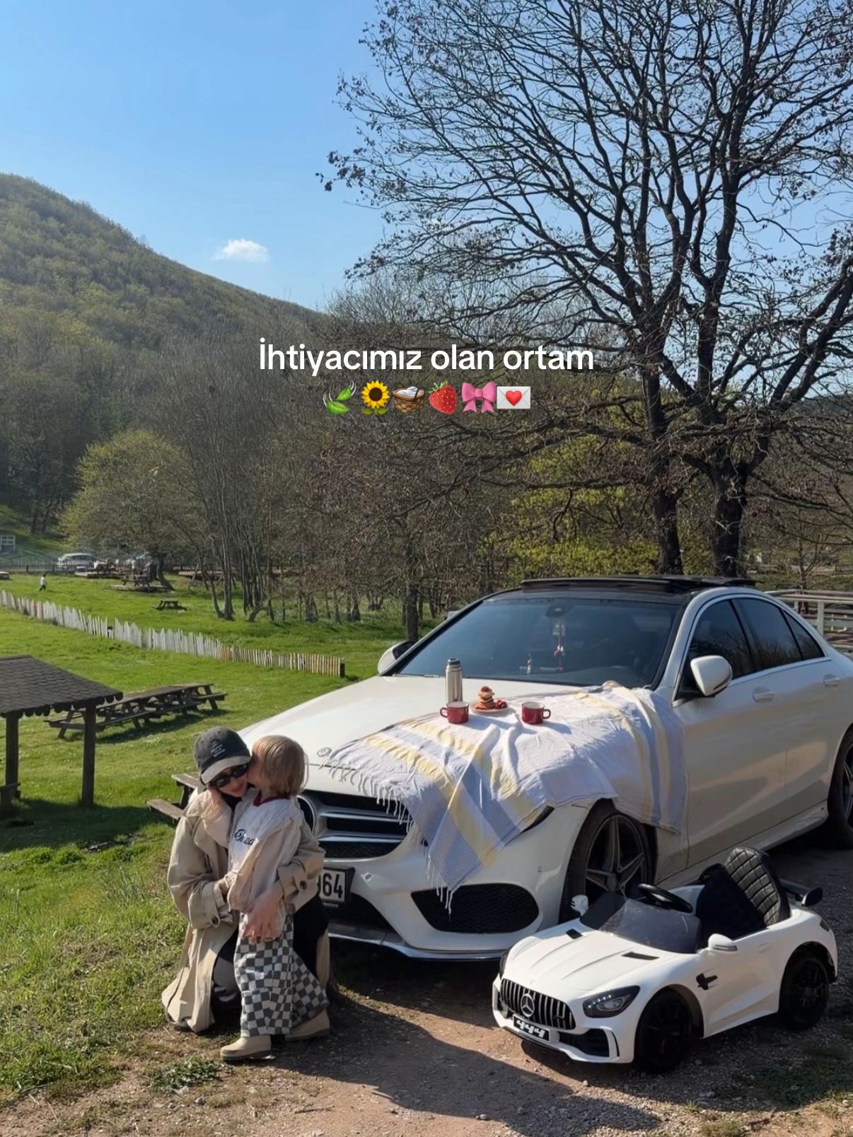 @s&uuml;meyra &ccedil;alık