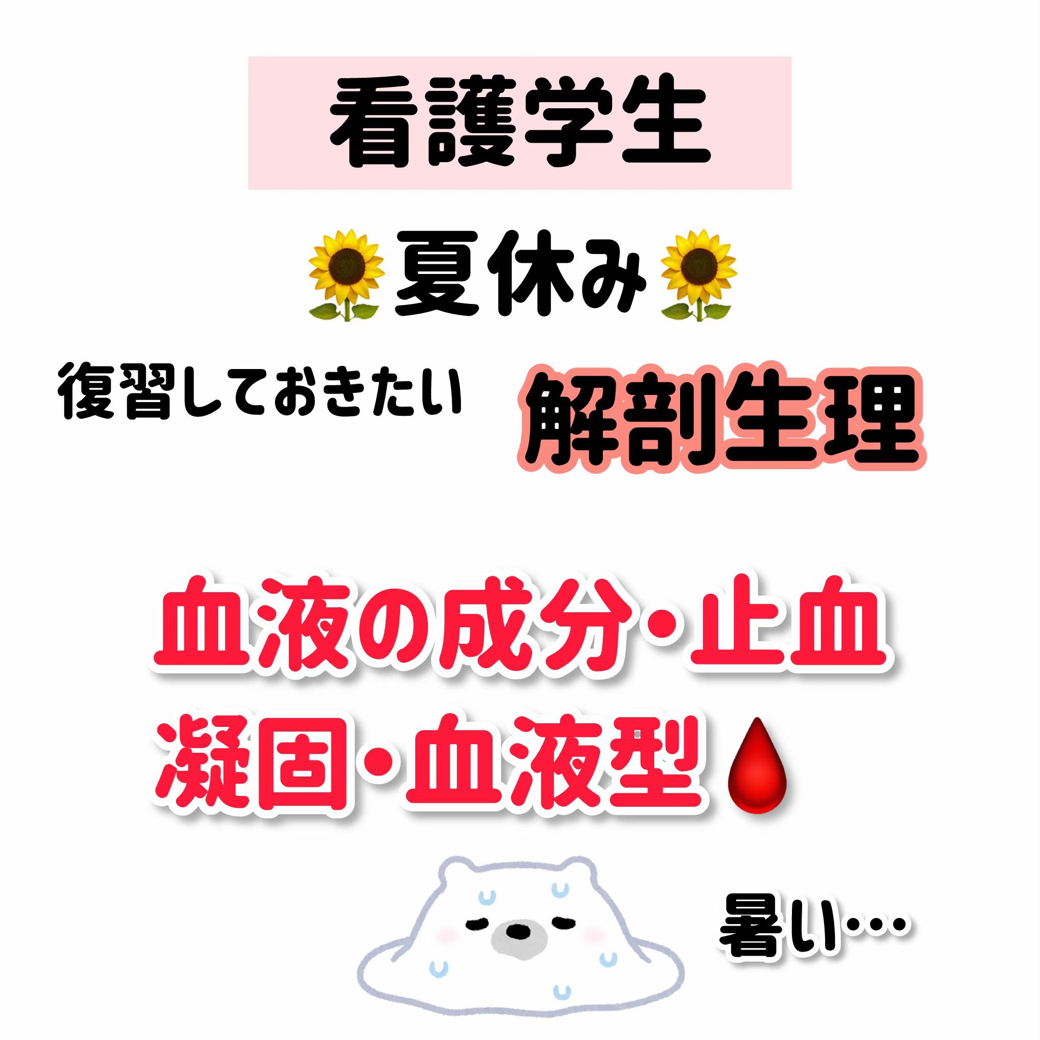 @ももんが看護