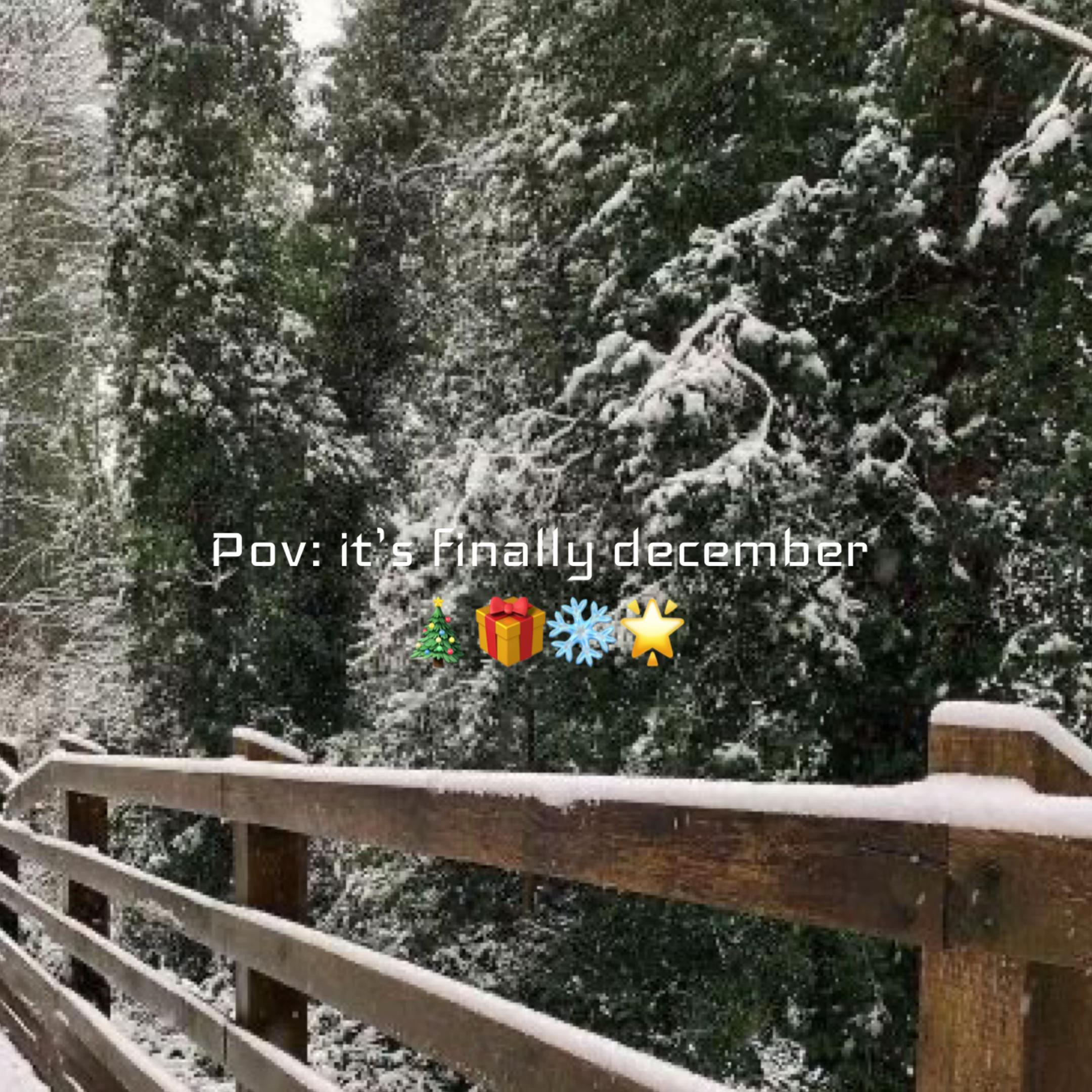 @christmas