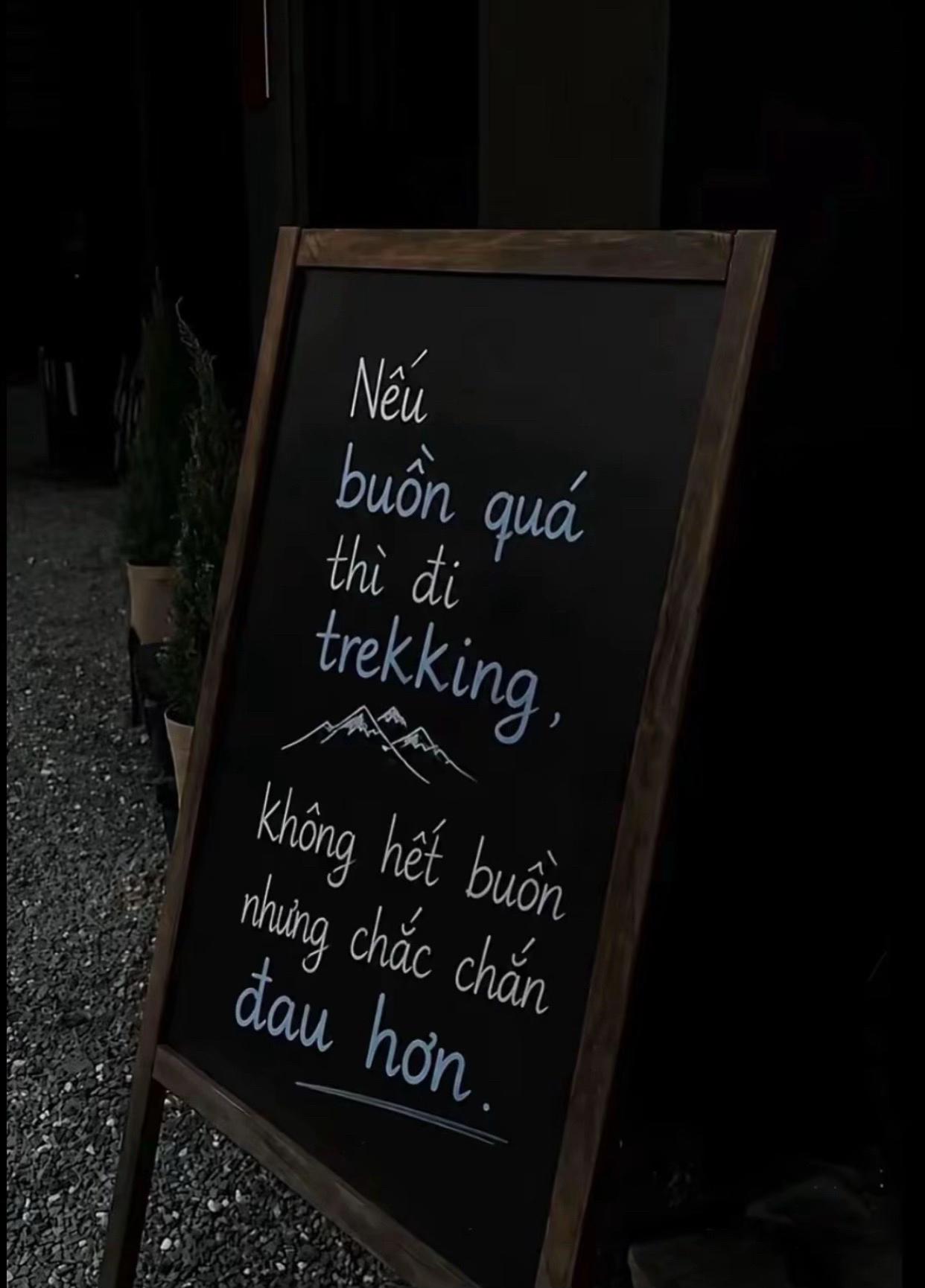 @Hồng Thảo 🐰