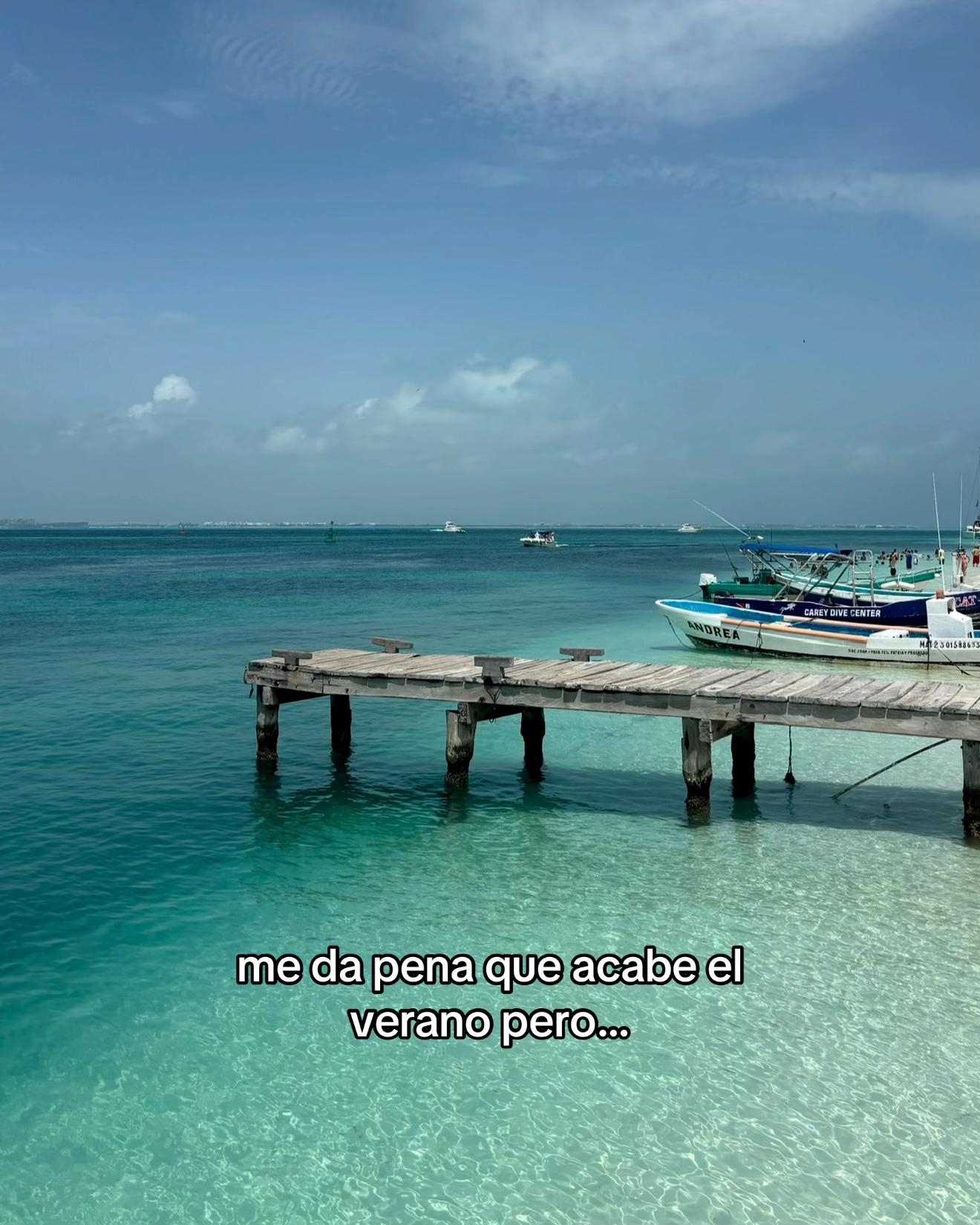 @ivet_ms13